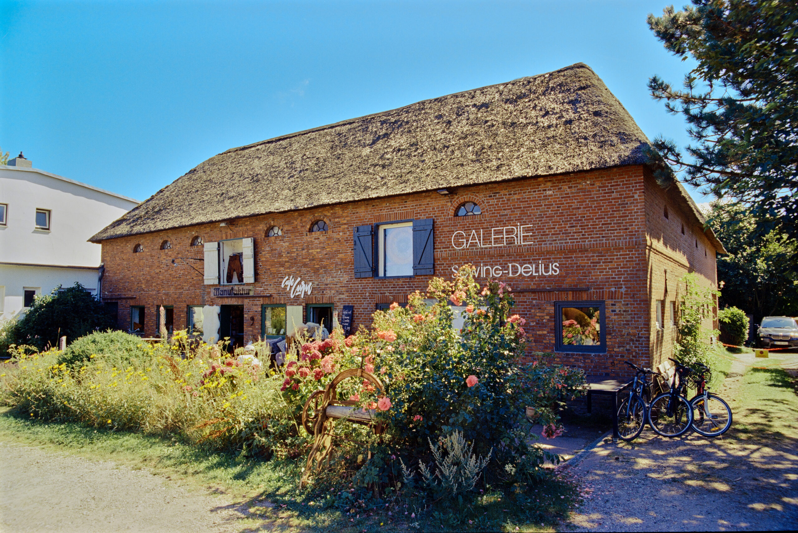 2021-08-15 12.34.56-.jpg 2021 08 15 12 34 56