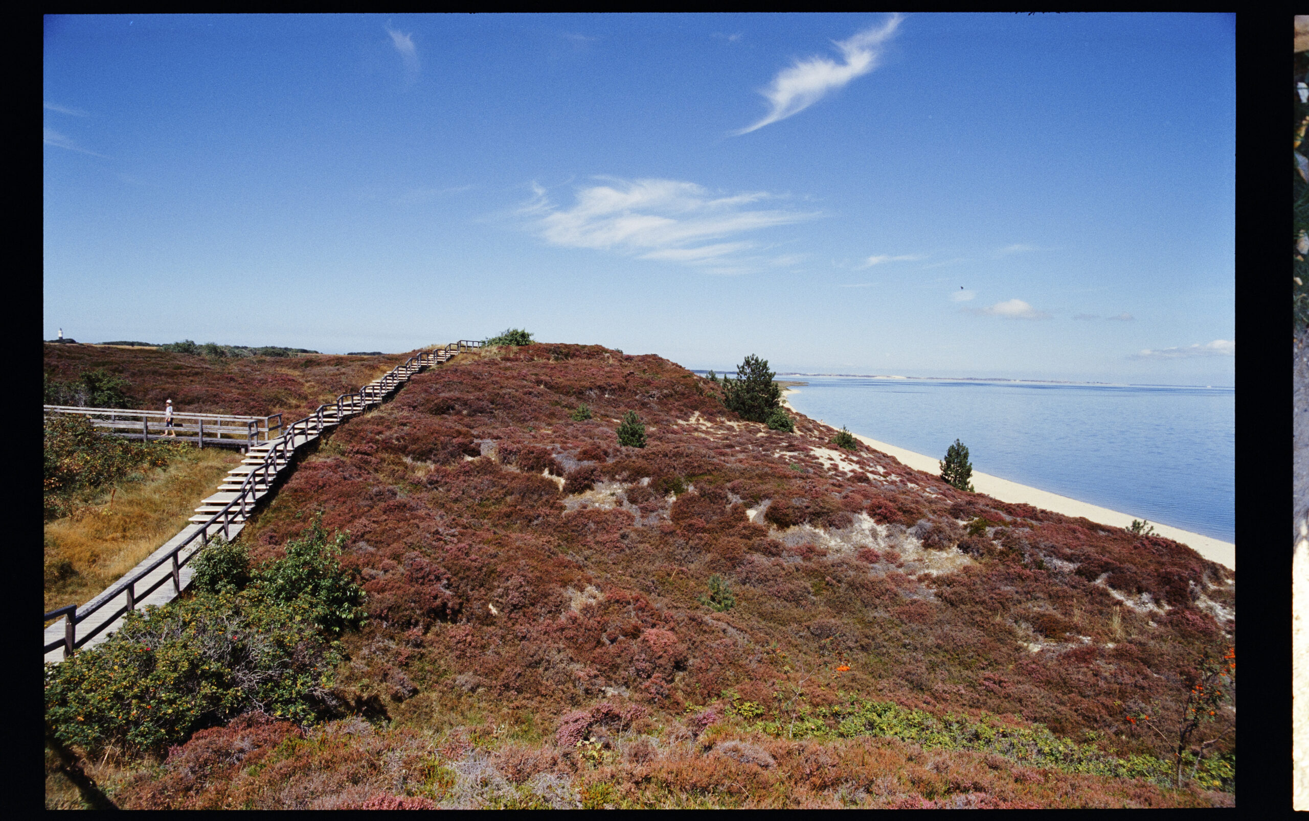 2021-08-15 12.34.56- 2.jpg 2021 08 15 12 34 56 2