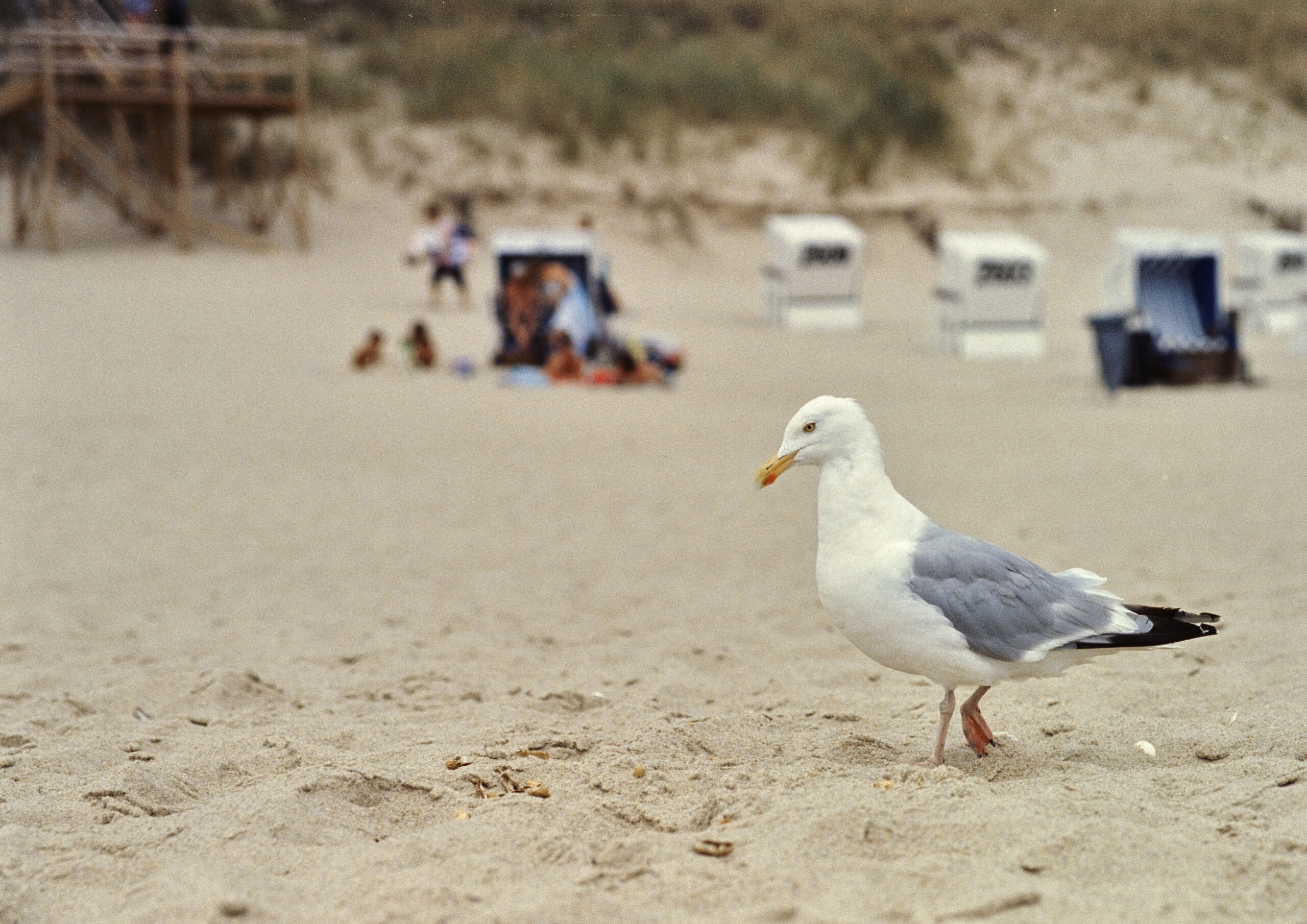 2021-08-15 12.34.56- 3.jpg 2021 08 15 12 34 56 3