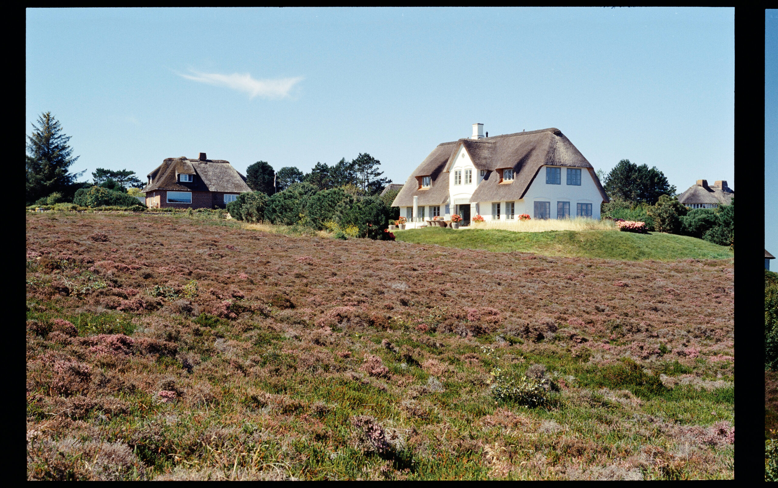 2022-08-11 12.34.56-.jpg 2022 08 11 12 34 56