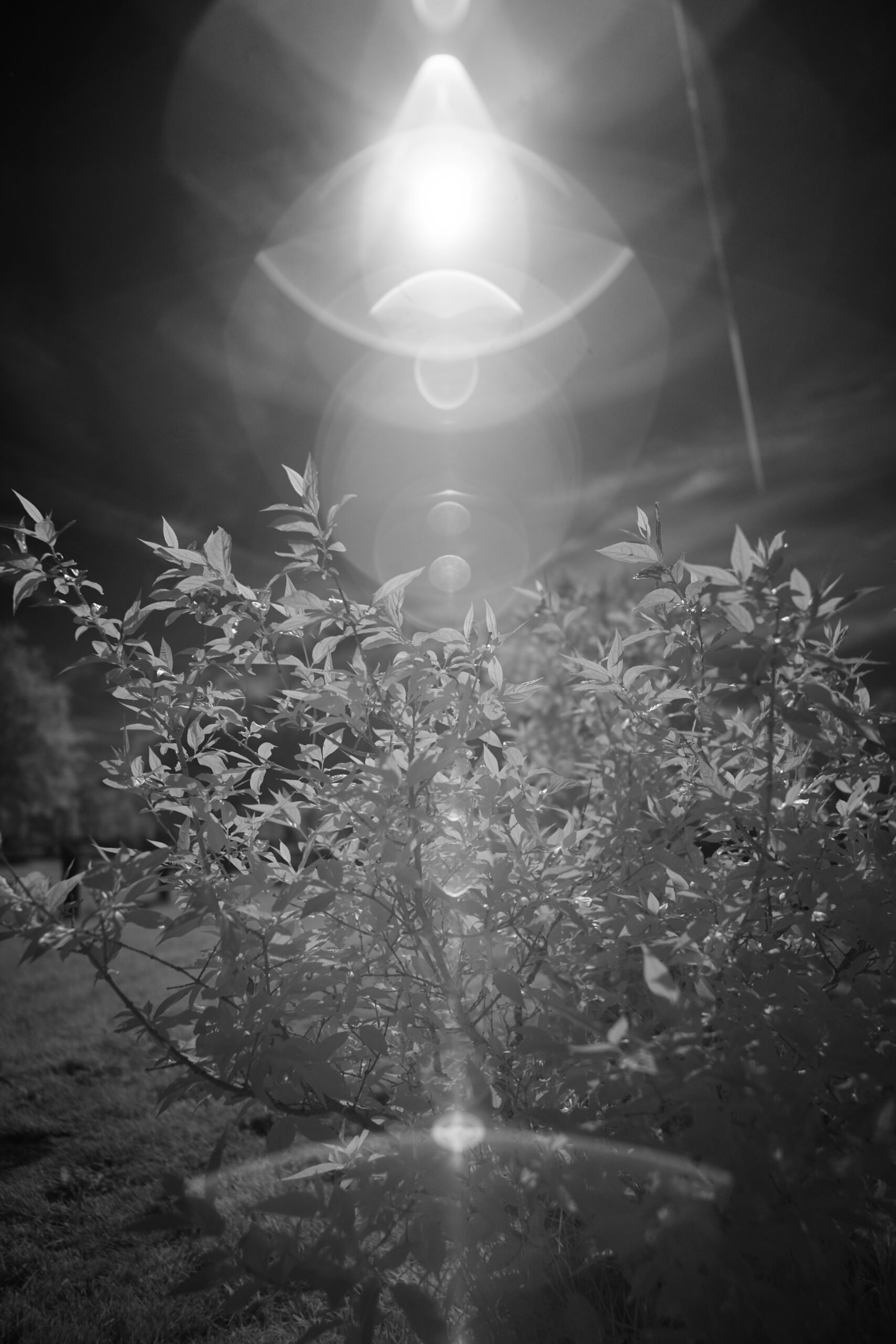 F1 4 Sony FE 24mm F1 4 GM  SEL24F14GM