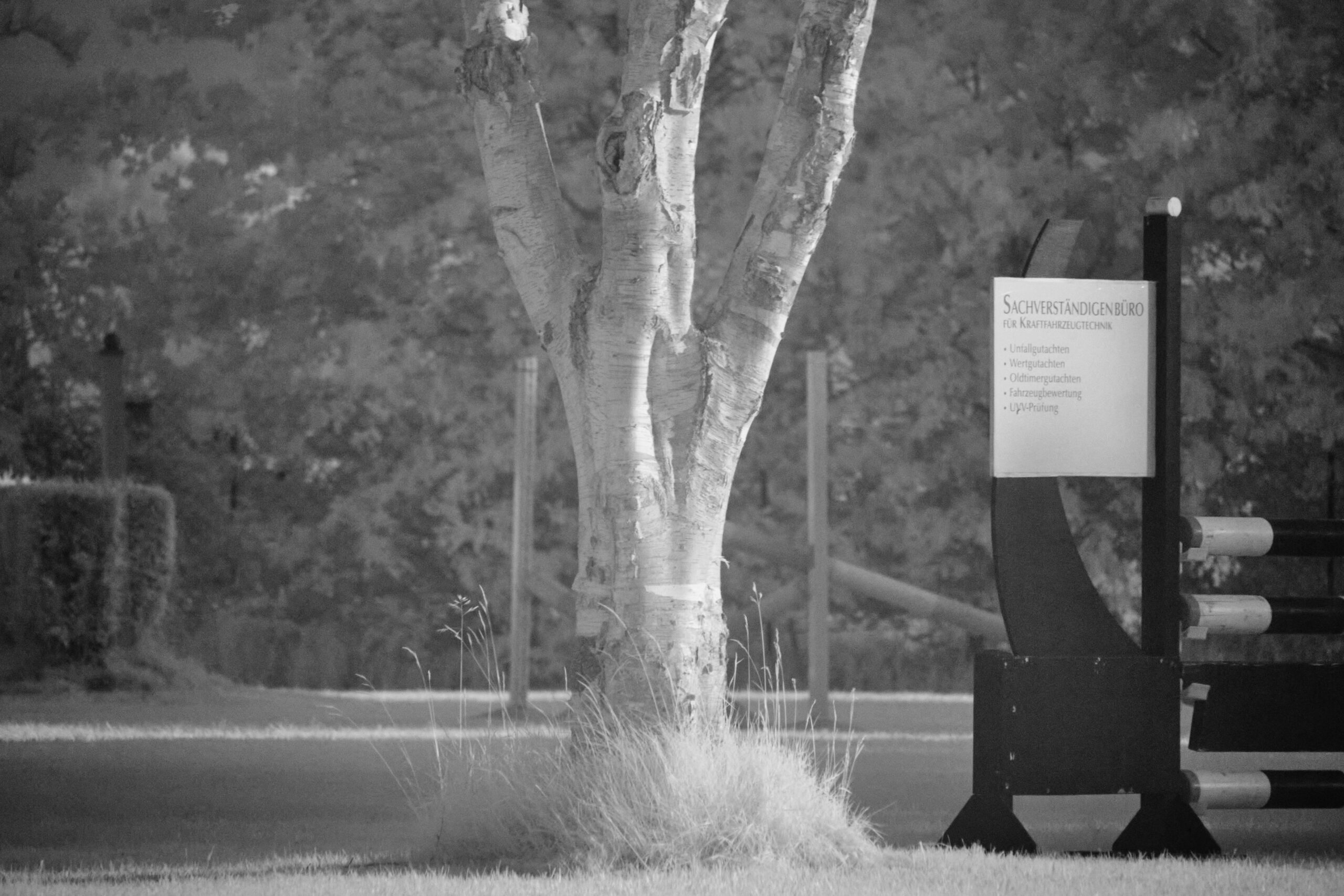 f11 Sigma 100-400mm F5-6.3 DG DN OS | C (Sony E) 2.jpg F11 Sigma 100 400mm F5 6 3 DG DN OS | C Sony E 2