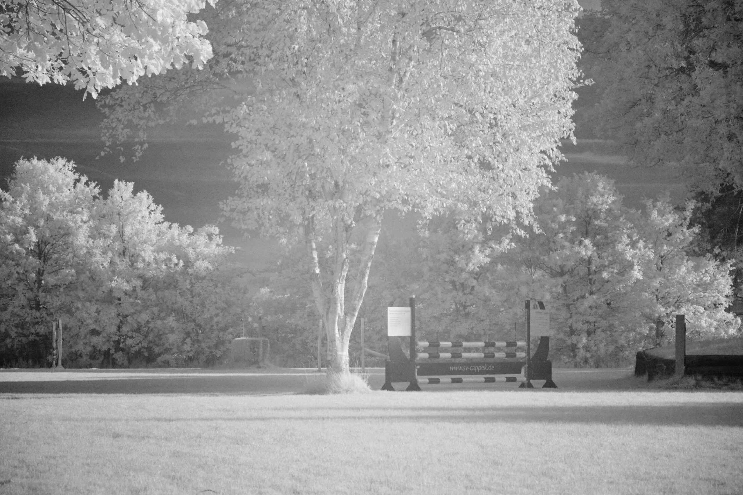 f11 Sigma 100-400mm F5-6.3 DG DN OS | C (Sony E).jpg F11 Sigma 100 400mm F5 6 3 DG DN OS | C Sony E