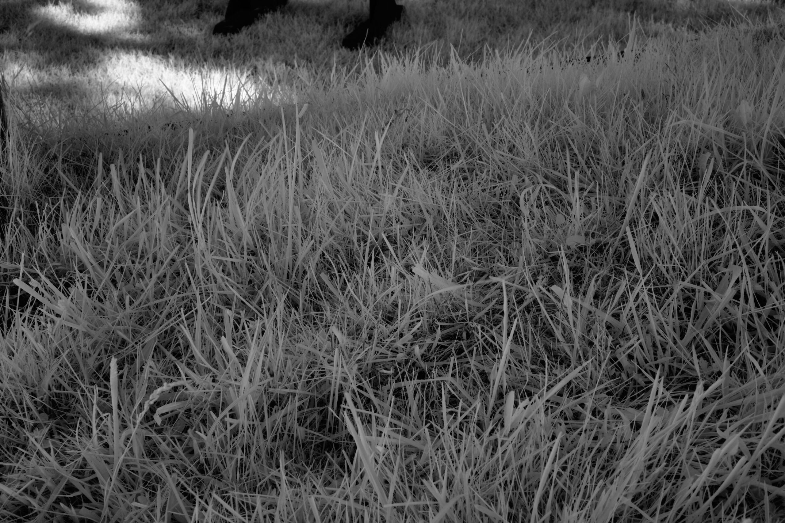 f16 Sony FE 40mm F2.5 G (SEL40F25G).jpg F16 Sony FE 40mm F2 5 G SEL40F25G