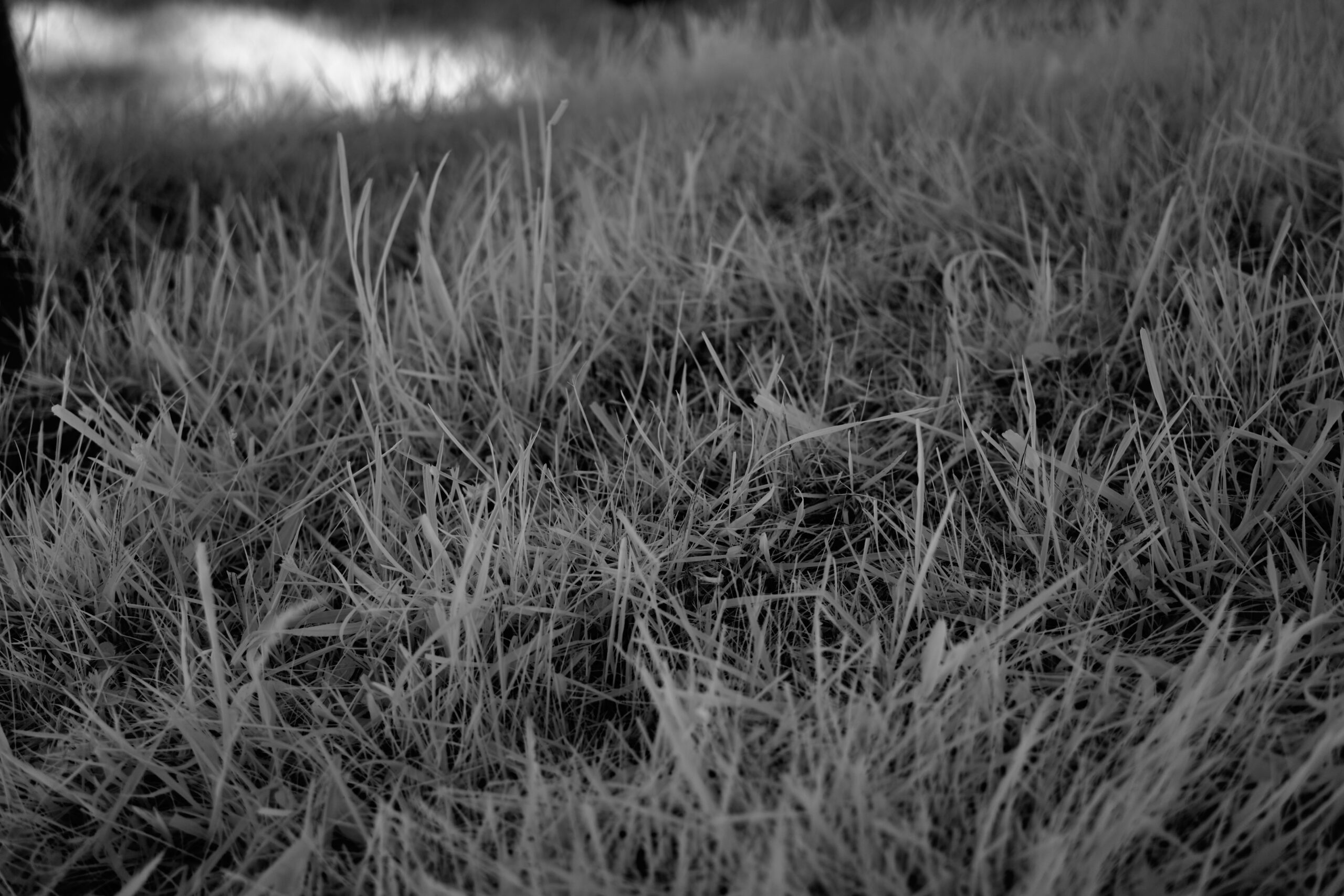 f2.8 Sony FE 40mm F2.5 G (SEL40F25G).jpg F2 8 Sony FE 40mm F2 5 G SEL40F25G