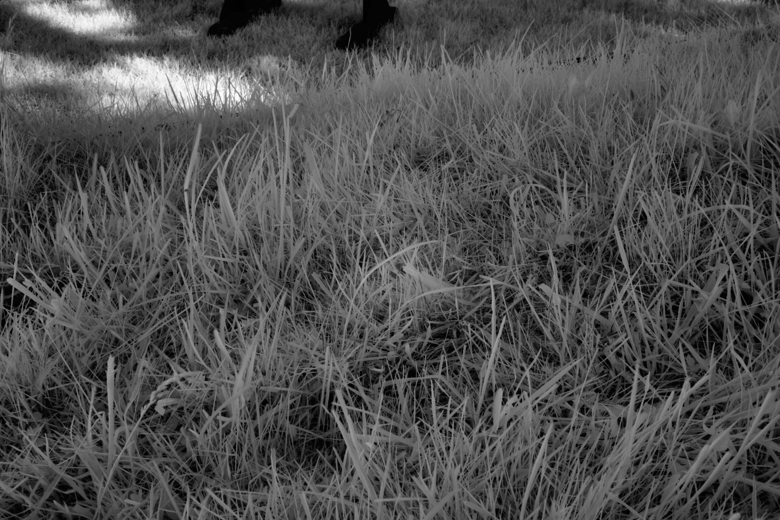 f22 Sony FE 40mm F2.5 G (SEL40F25G).jpg F22 Sony FE 40mm F2 5 G SEL40F25G