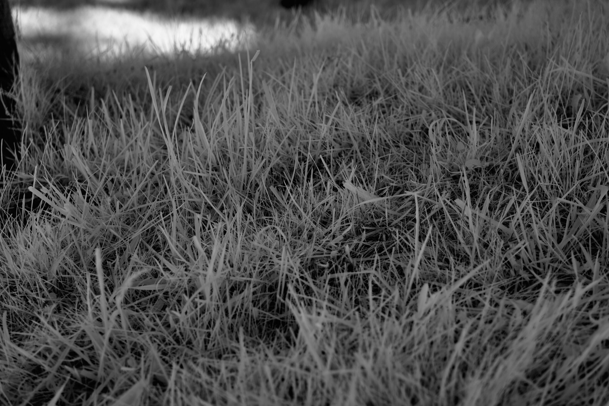 f3.5 Sony FE 40mm F2.5 G (SEL40F25G) 1.jpeg F3 5 Sony FE 40mm F2 5 G SEL40F25G 1