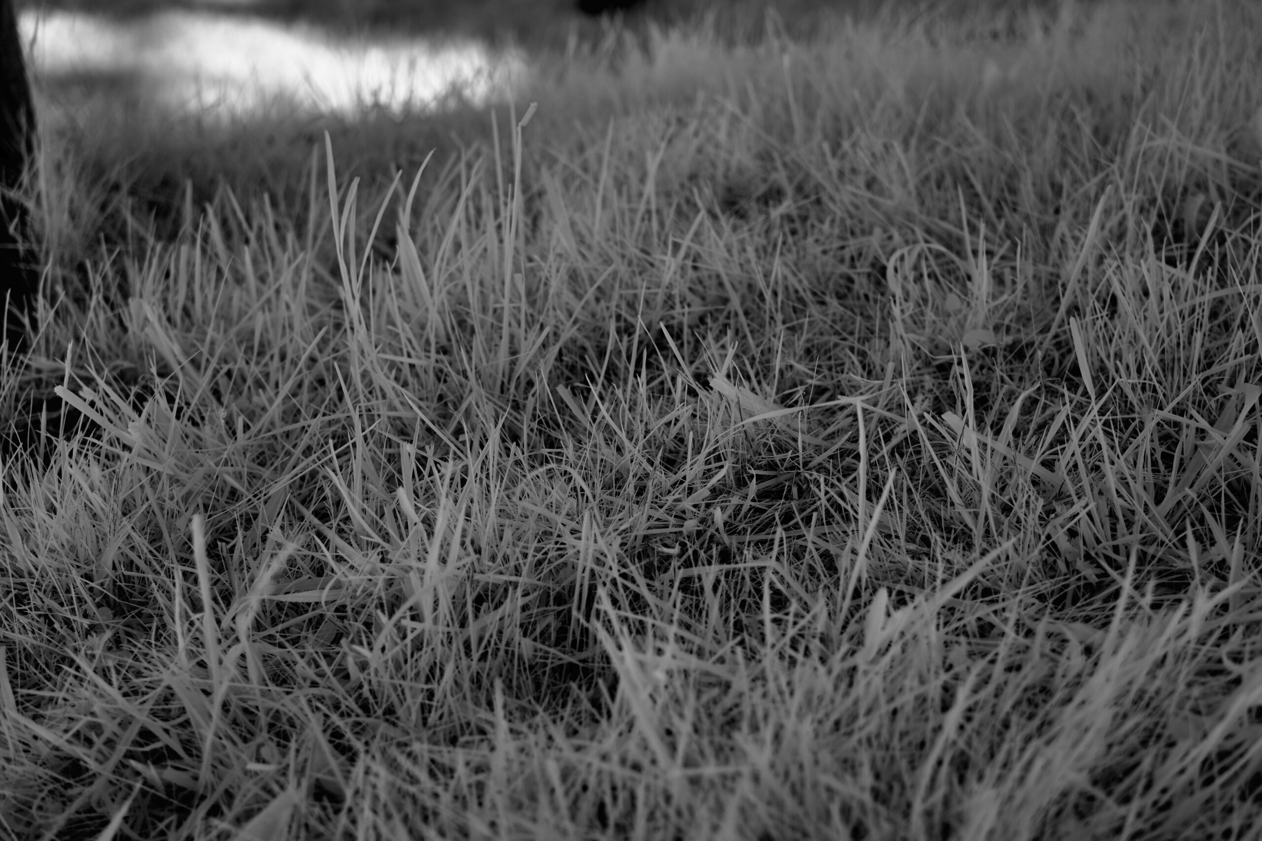 f3.5 Sony FE 40mm F2.5 G (SEL40F25G).jpg F3 5 Sony FE 40mm F2 5 G SEL40F25G