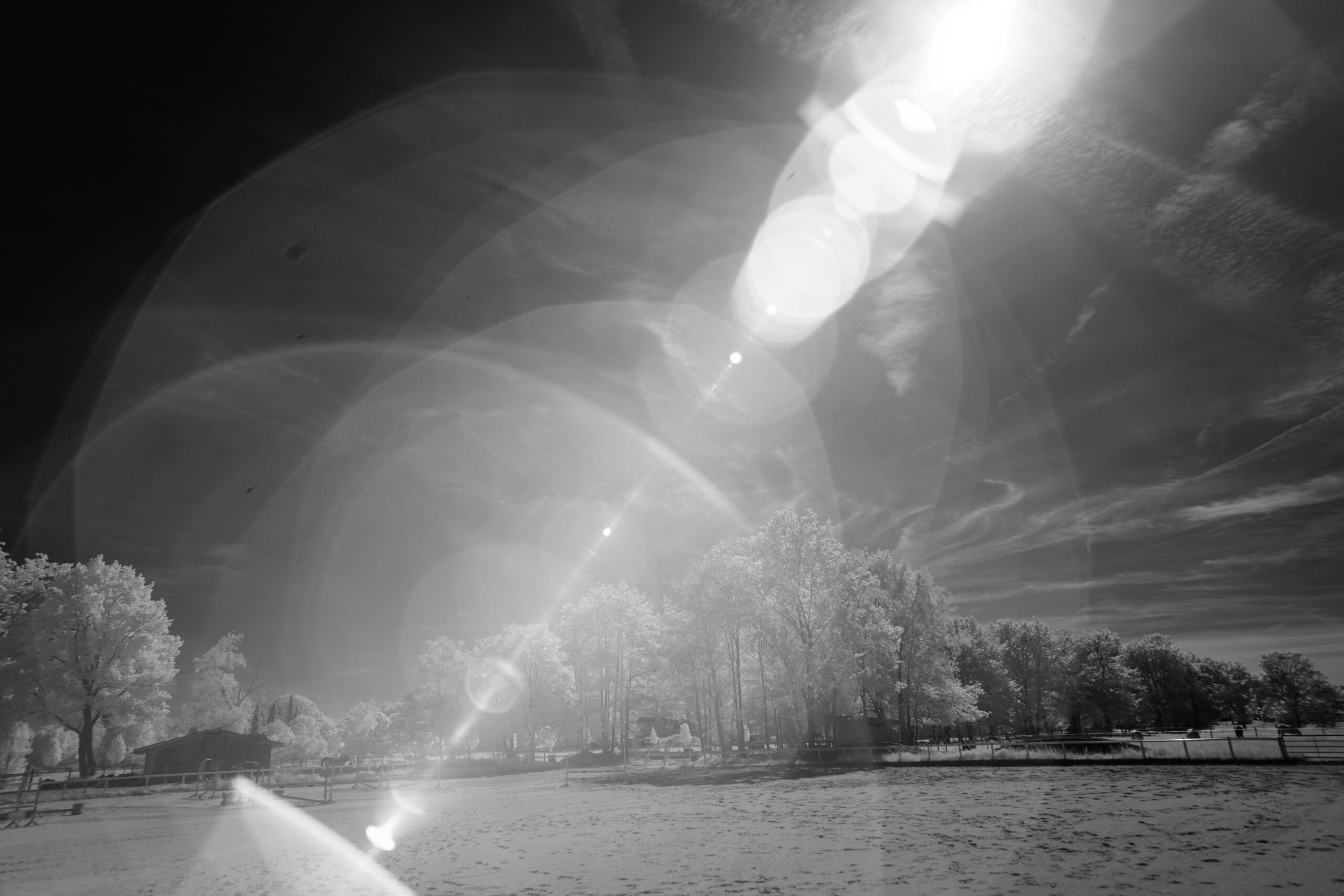 F4 Sony FE 24mm F1 4 GM  SEL24F14GM 2