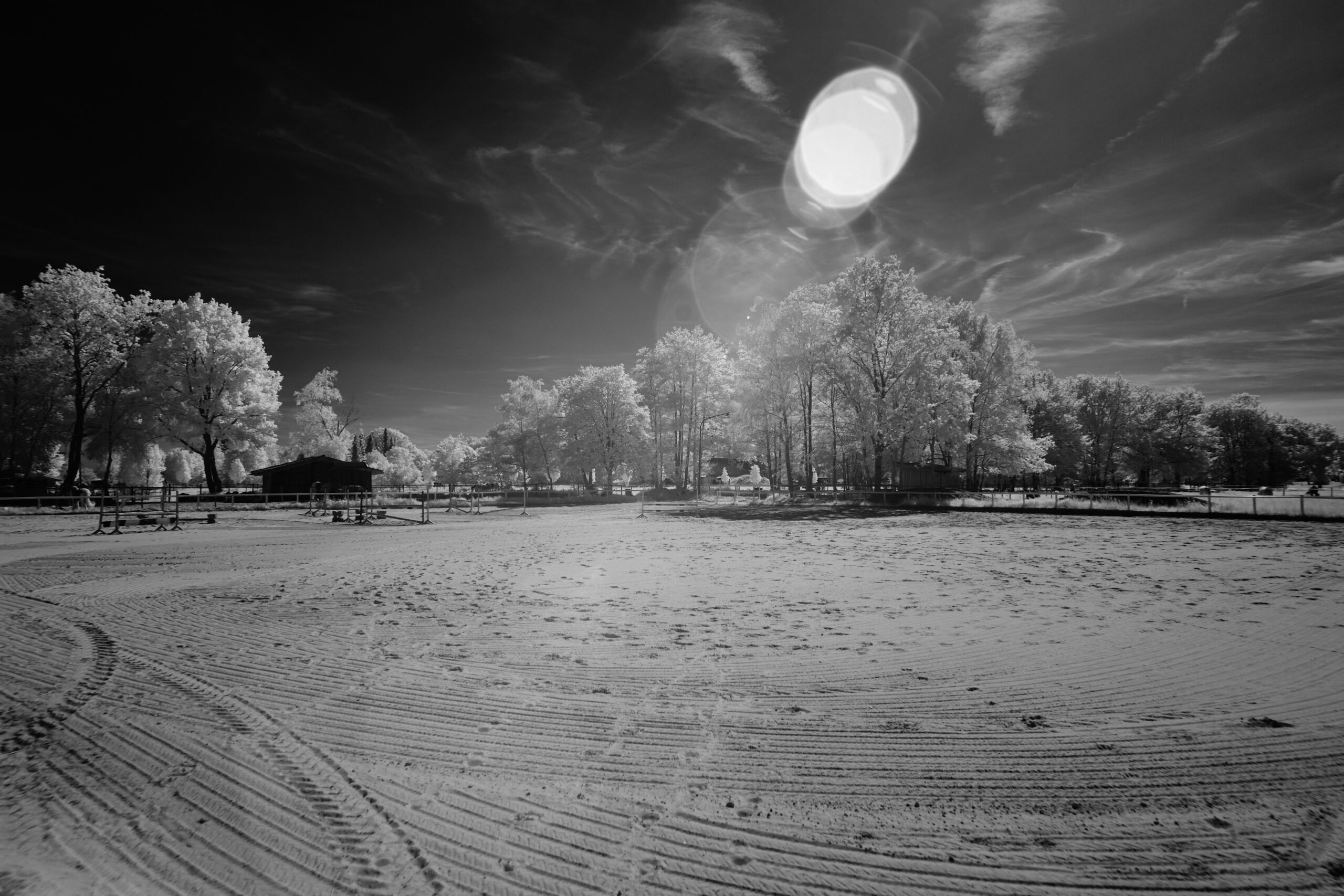 F4 Sony FE 24mm F1 4 GM  SEL24F14GM 3