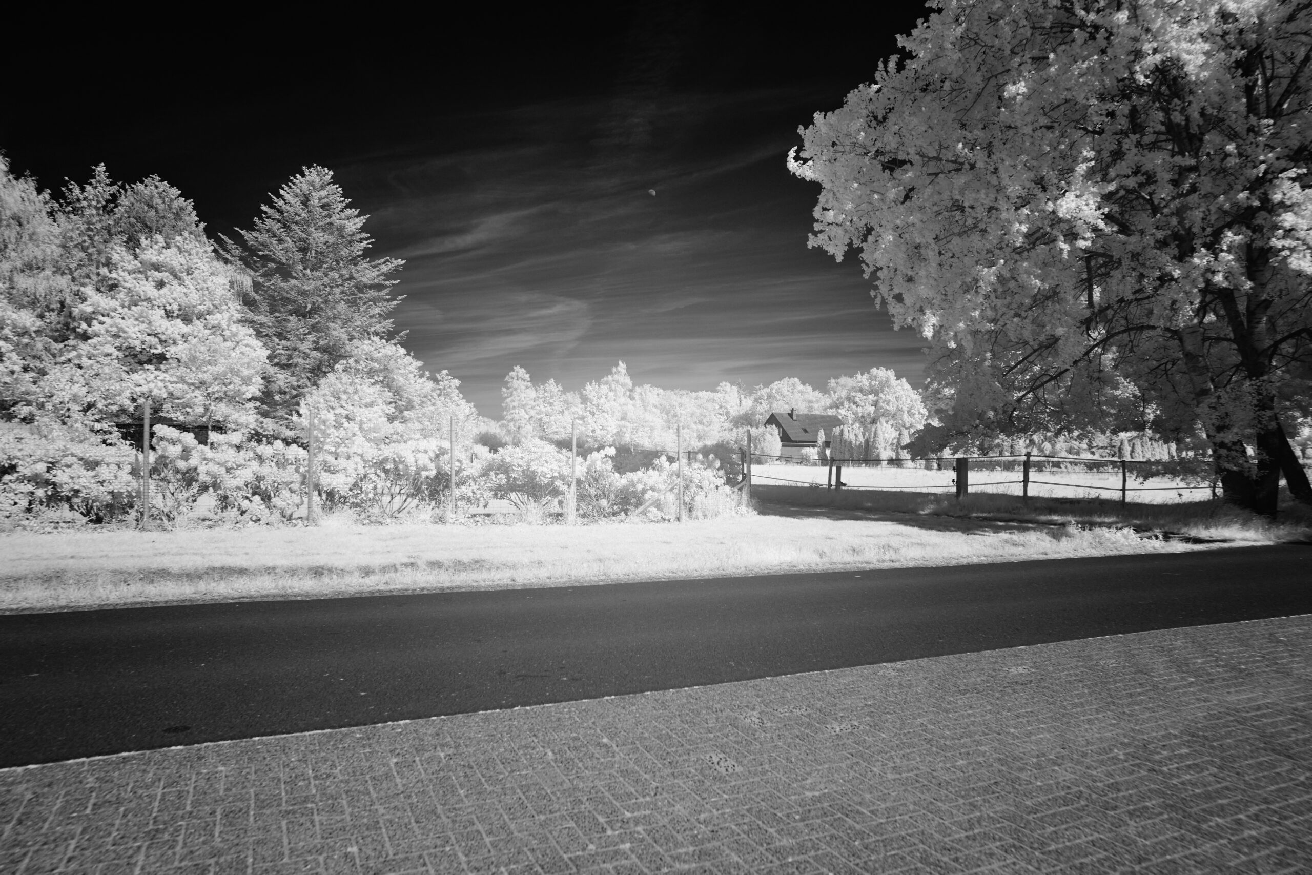 F4 Sony FE 24mm F1 4 GM  SEL24F14GM