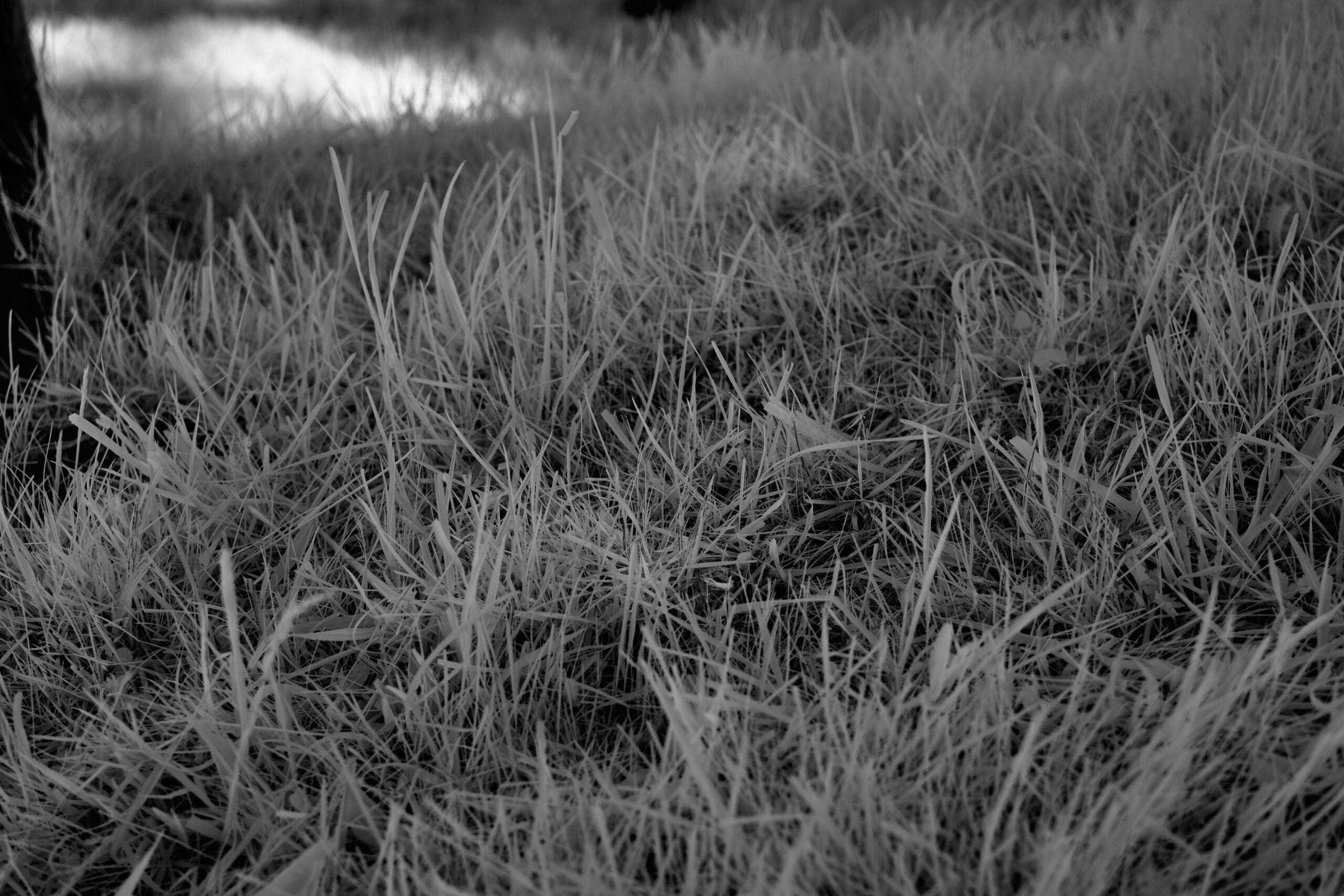 f4 Sony FE 40mm F2.5 G (SEL40F25G).jpg F4 Sony FE 40mm F2 5 G SEL40F25G