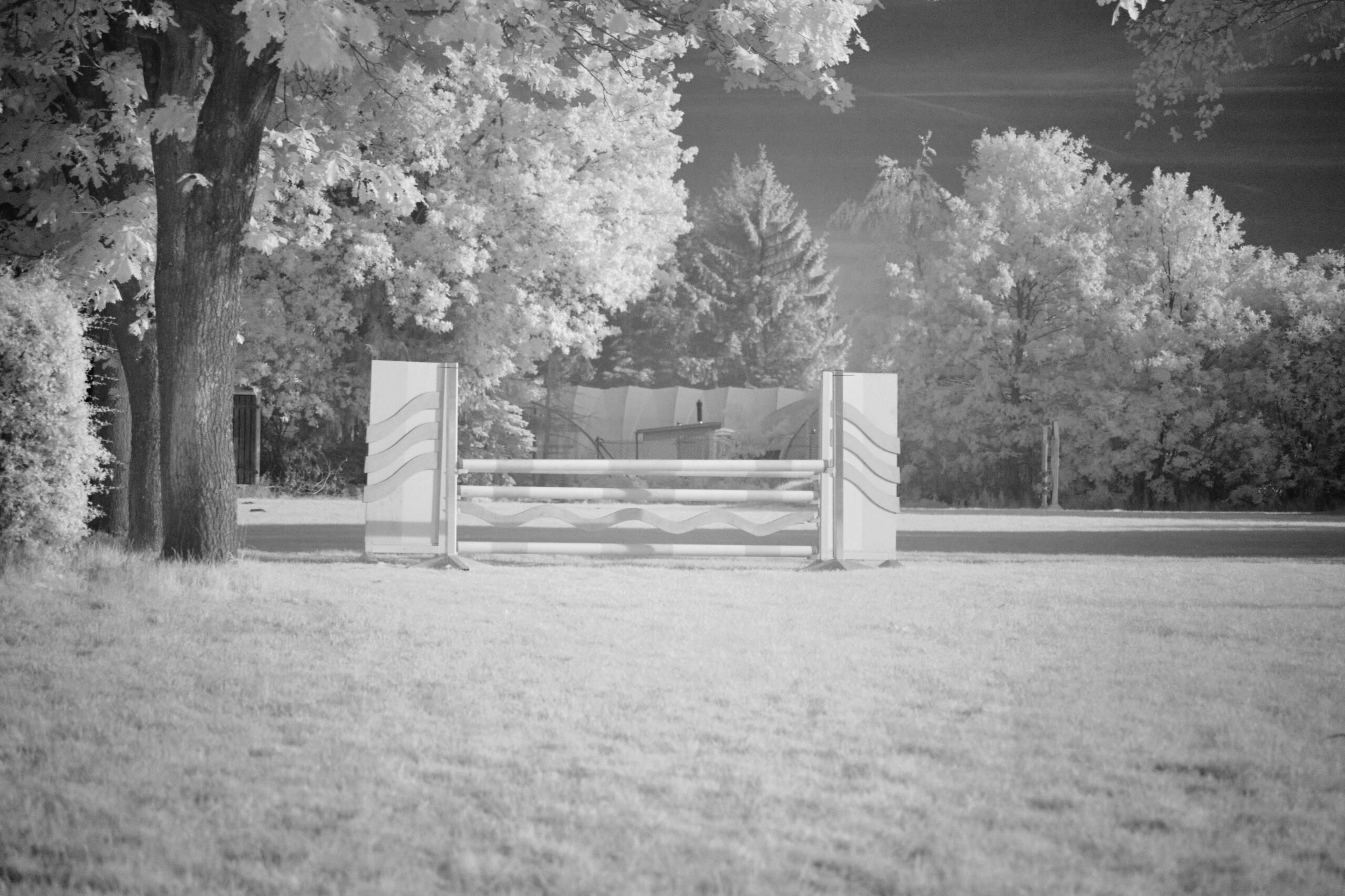 f5 Sigma 100-400mm F5-6.3 DG DN OS | C (Sony E).jpg F5 Sigma 100 400mm F5 6 3 DG DN OS | C Sony E