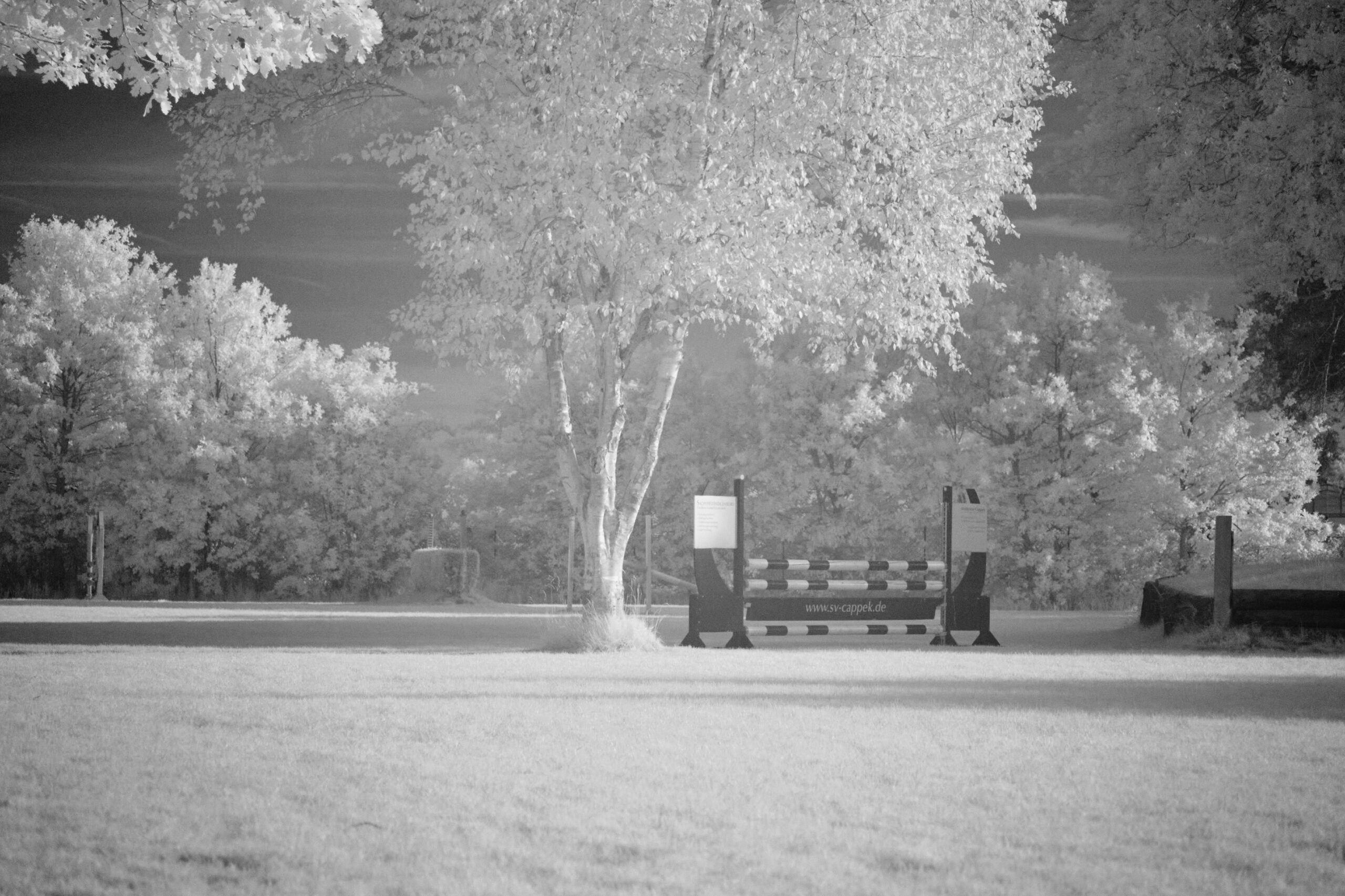 f5.6 Sigma 100-400mm F5-6.3 DG DN OS | C (Sony E).jpg F5 6 Sigma 100 400mm F5 6 3 DG DN OS | C Sony E