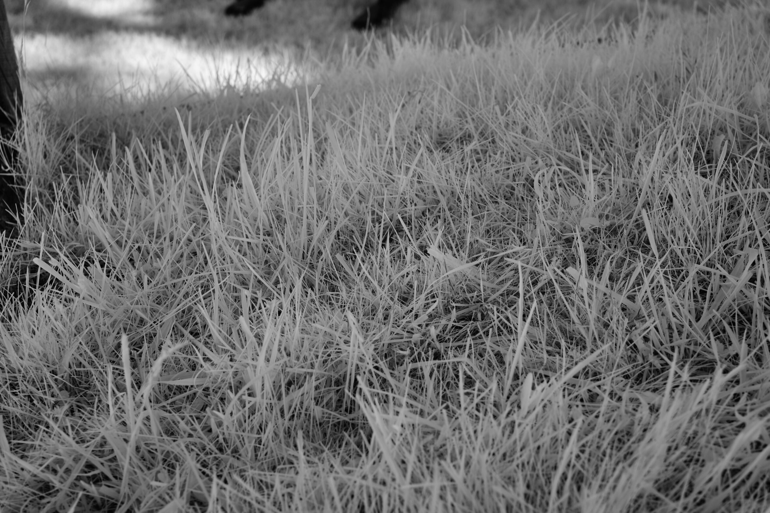 f5.6 Sony FE 40mm F2.5 G (SEL40F25G).jpg F5 6 Sony FE 40mm F2 5 G SEL40F25G