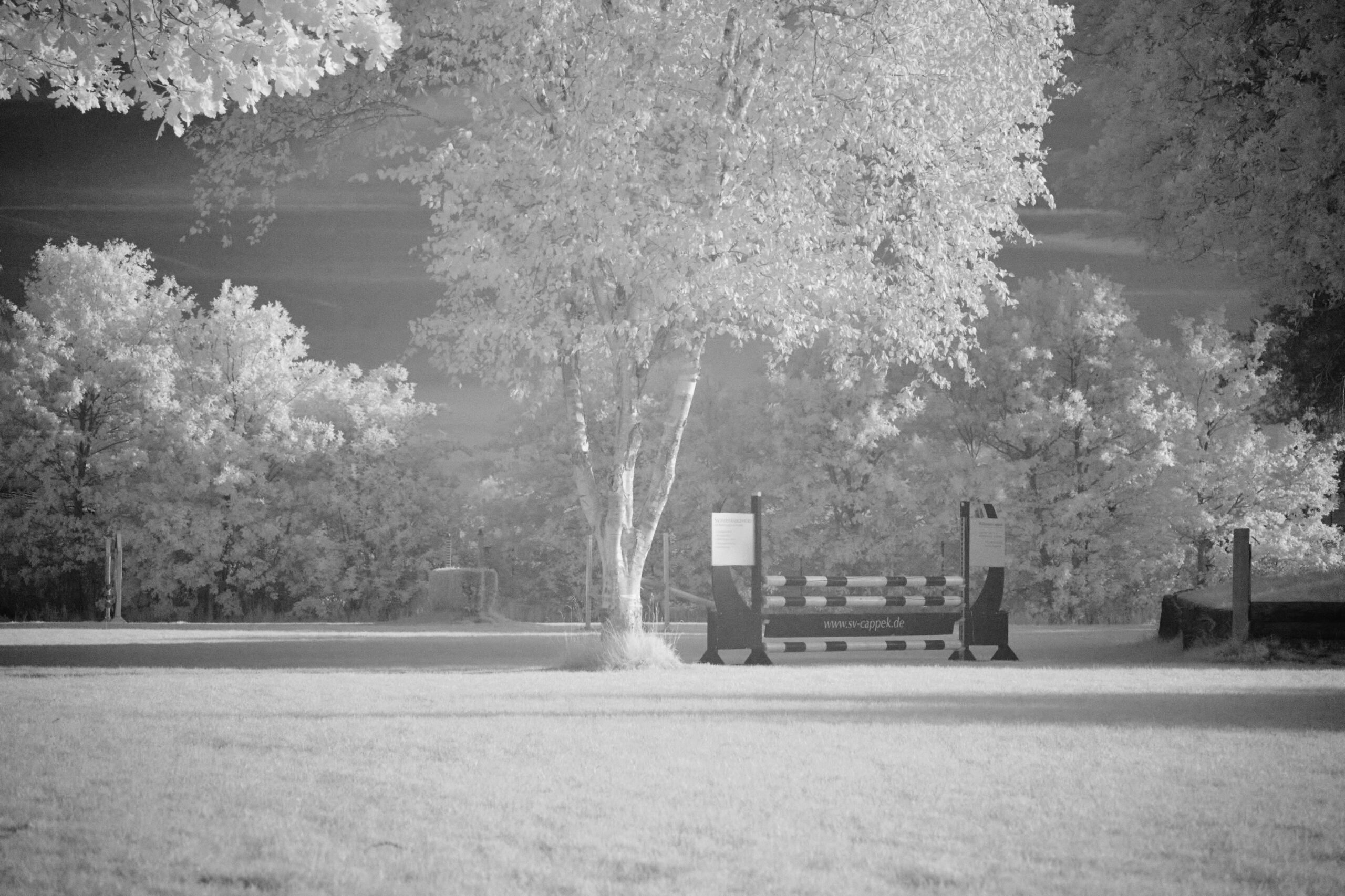 f6.7 Sigma 100-400mm F5-6.3 DG DN OS | C (Sony E).jpg F6 7 Sigma 100 400mm F5 6 3 DG DN OS | C Sony E