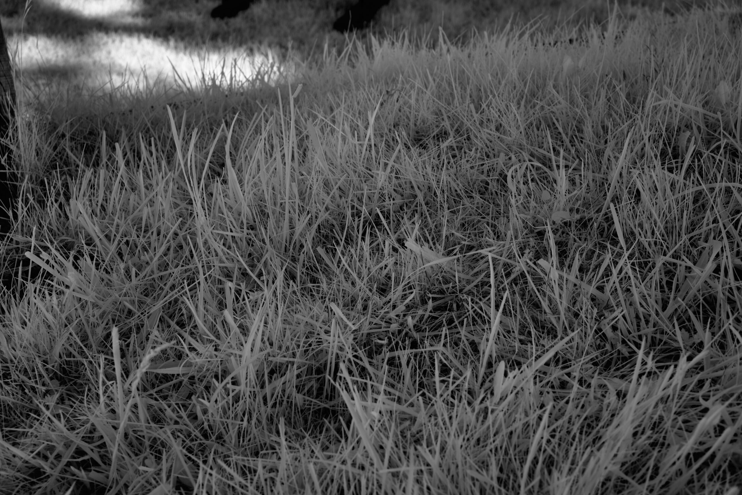 f8 Sony FE 40mm F2.5 G (SEL40F25G).jpg F8 Sony FE 40mm F2 5 G SEL40F25G