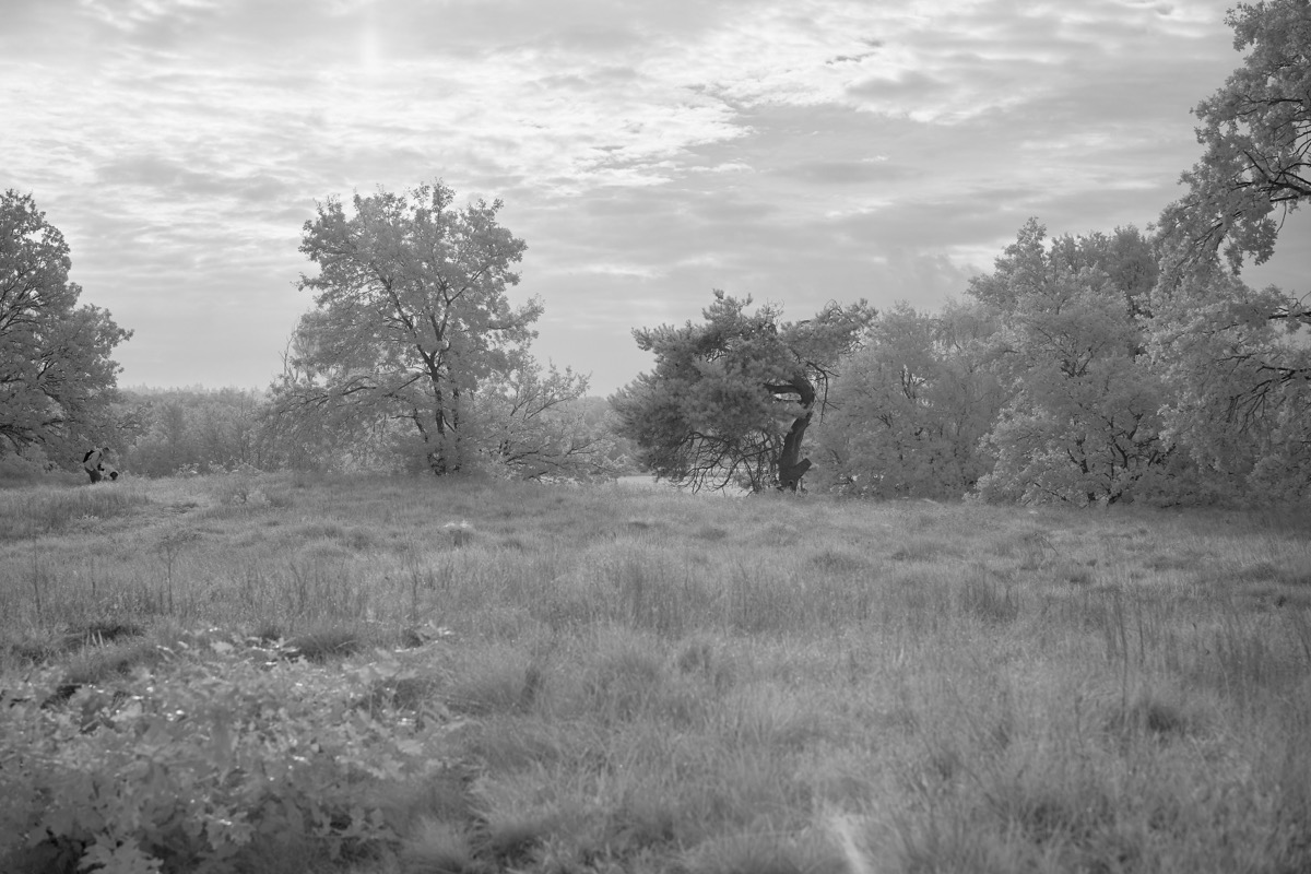 2023-09-02 08.35.29.jpg 2023 09 02 08 35 29