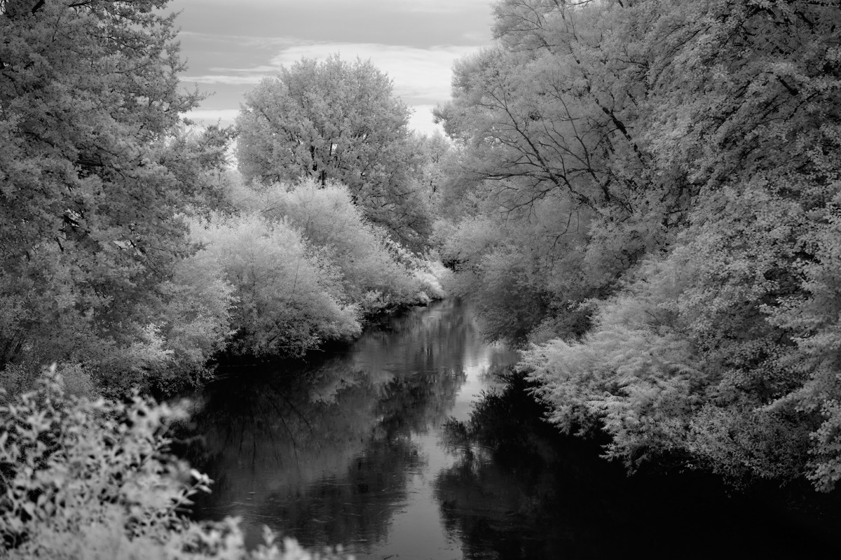 2023-09-02 09.40.51 2.jpg 2023 09 02 09 40 51 2