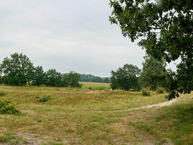 Capture One Panorama Stitching