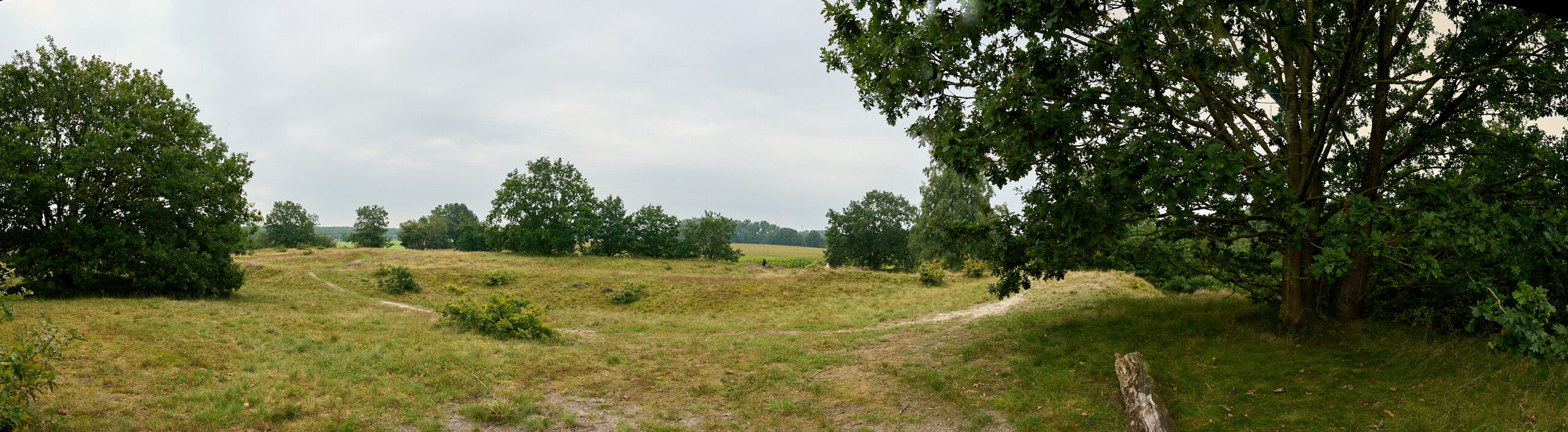 2023-09-02 10.08.40_Panorama.jpg 2023 09 02 10 08 40 Panorama