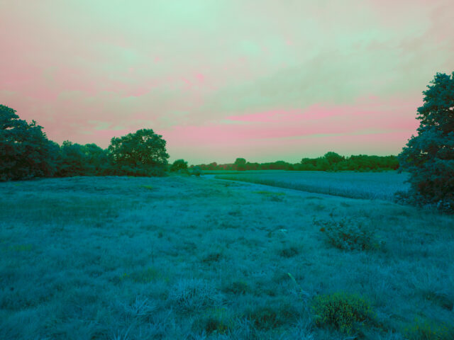 Vollspektrum Photographie