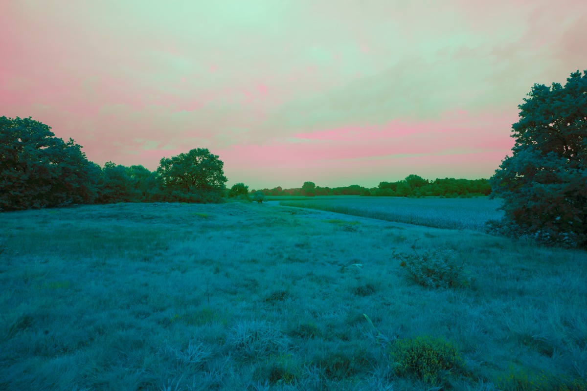 2023-09-18 22.27.09.jpg 2023 09 18 22 27 09