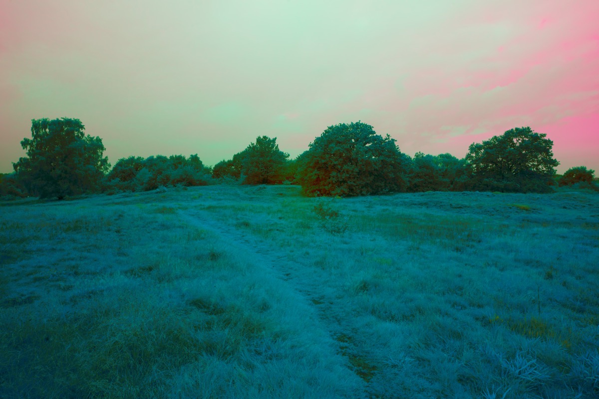 2023-09-18 22.27.28.jpg 2023 09 18 22 27 28