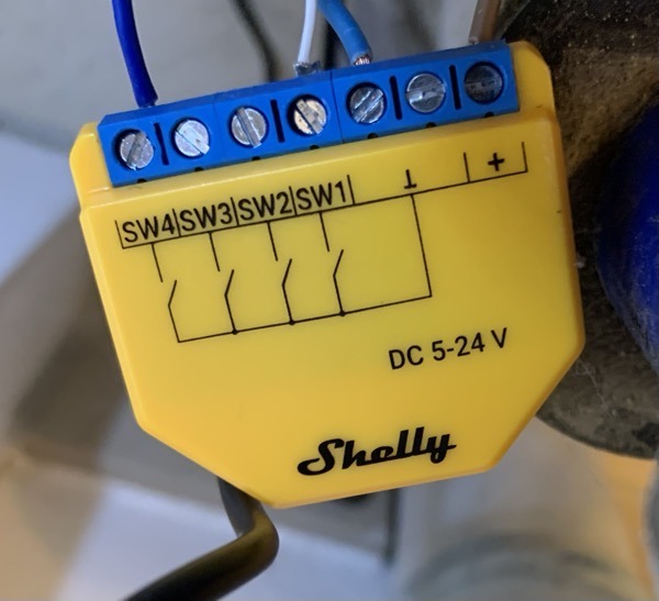 IMG_1696.jpeg IMG 1696