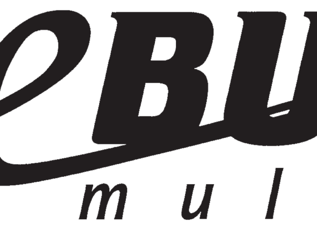 eBusd, Vaillant Wärmepumpe und Home Assistant