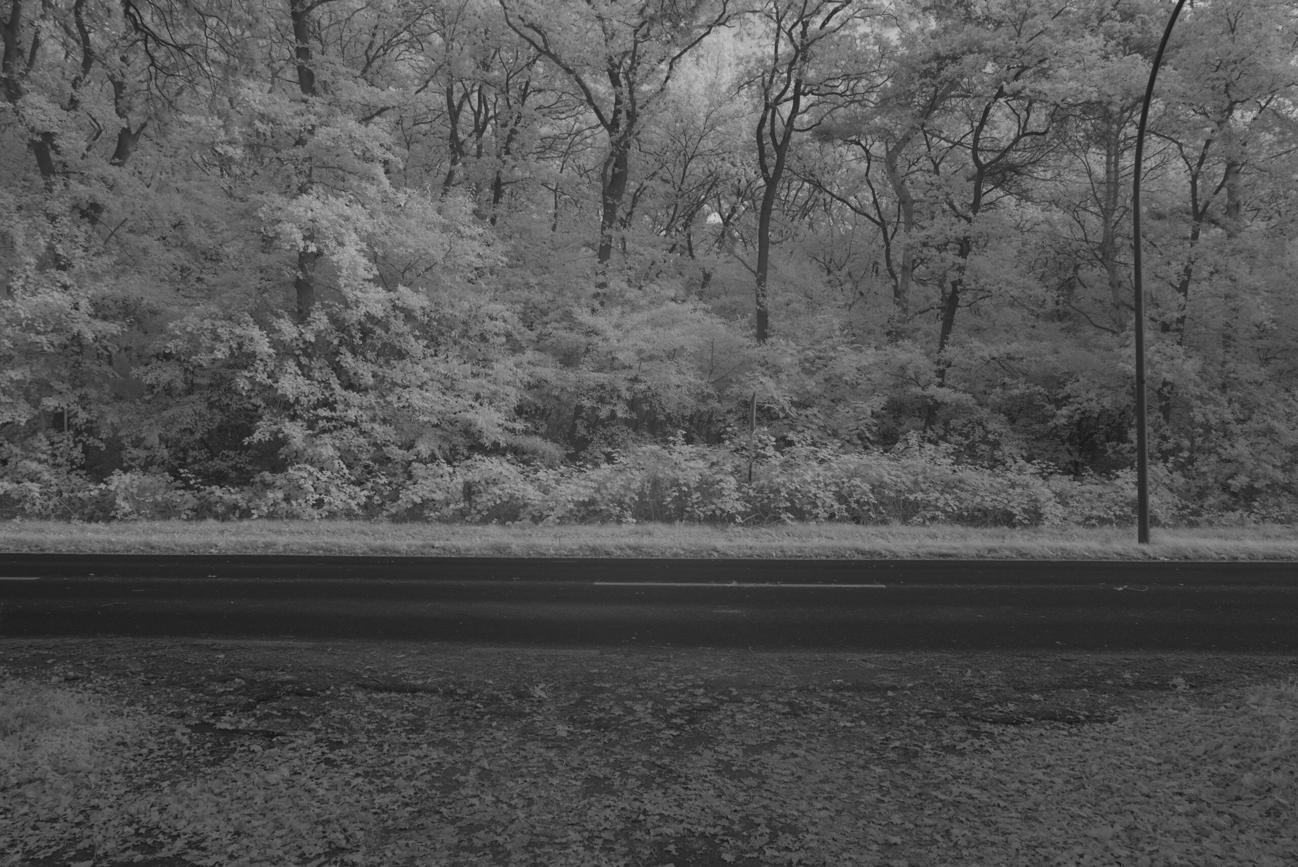 Blende 11.0 Zeit 1:10 ISO 125a.