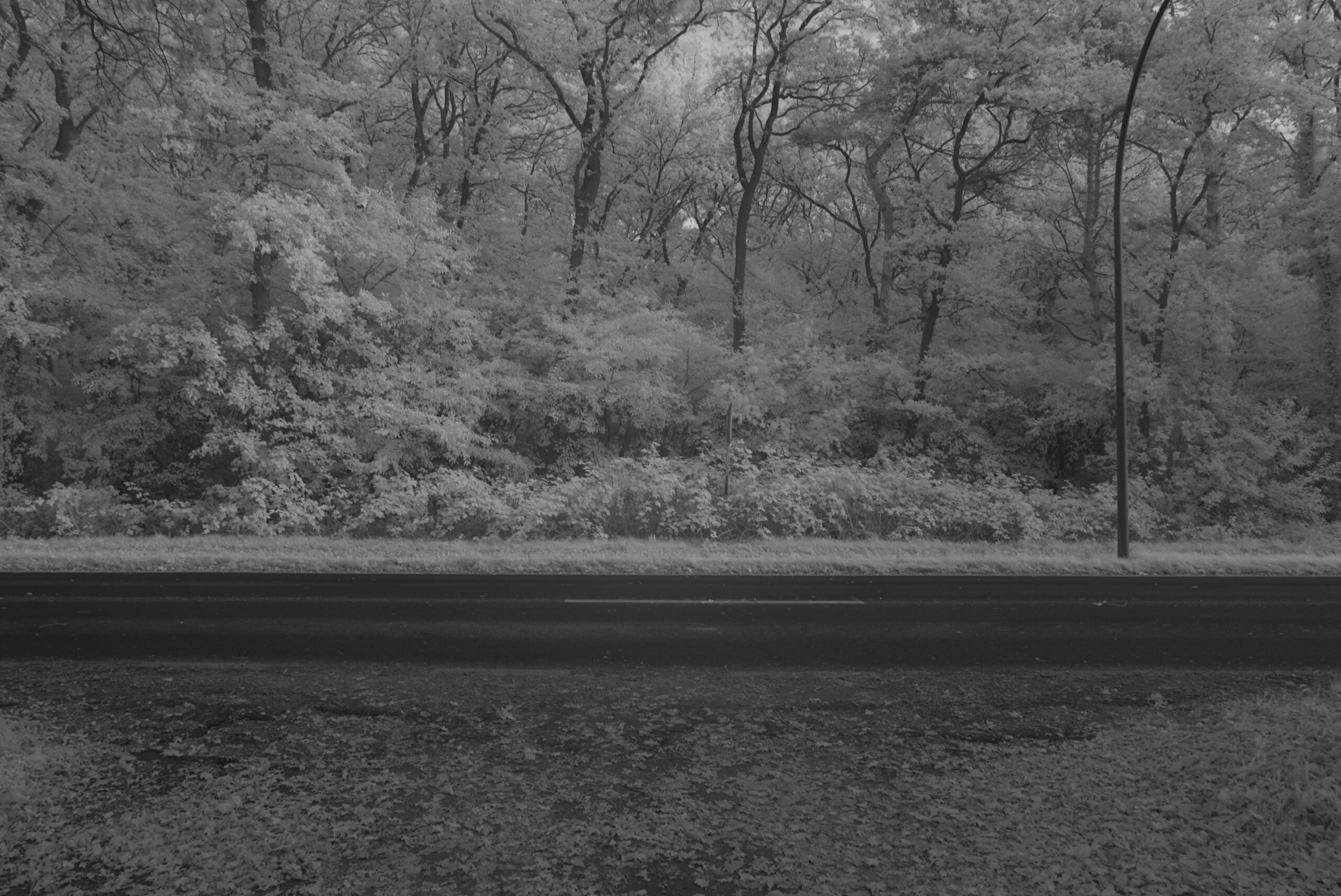 Blende 13.0 Zeit 1:8 ISO 125.