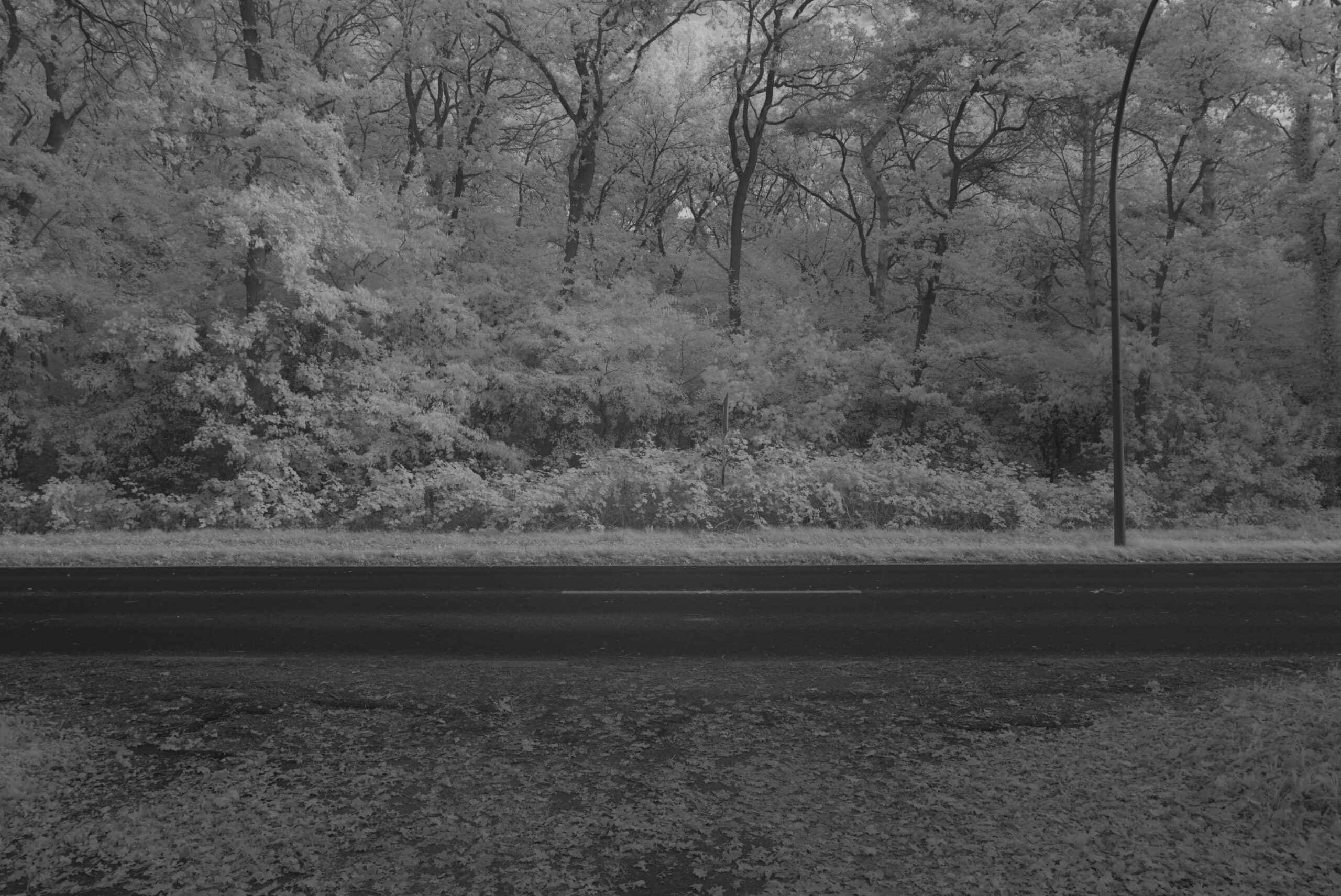 Blende 16.0 Zeit 1:6 ISO 125.