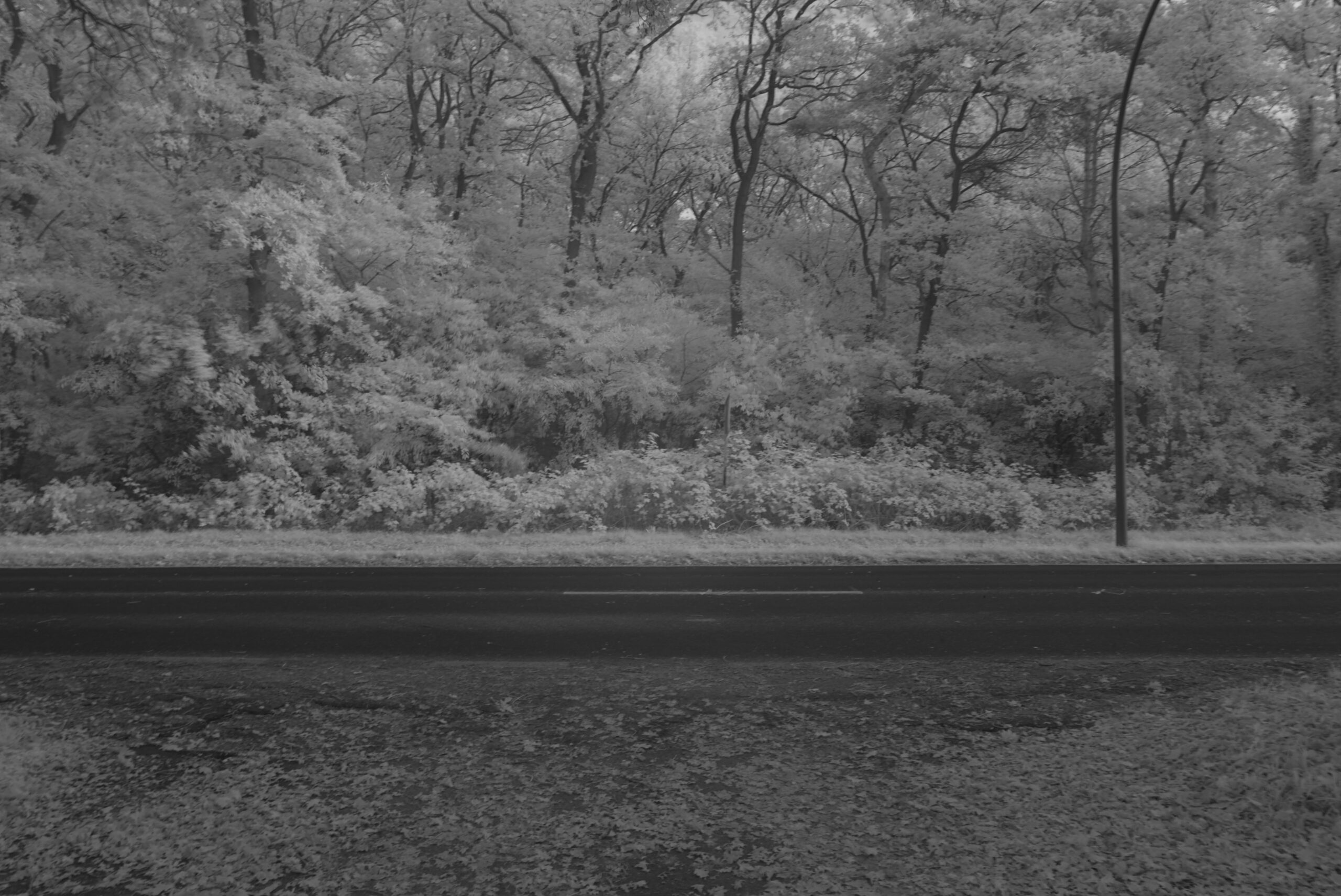 Blende 19.0 Zeit 1:4 ISO 125.