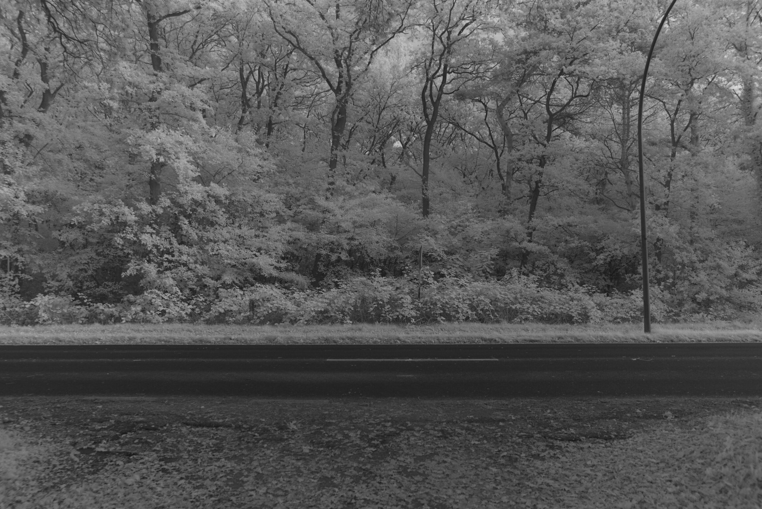 Blende 2.0 Zeit 1:500 ISO 125.