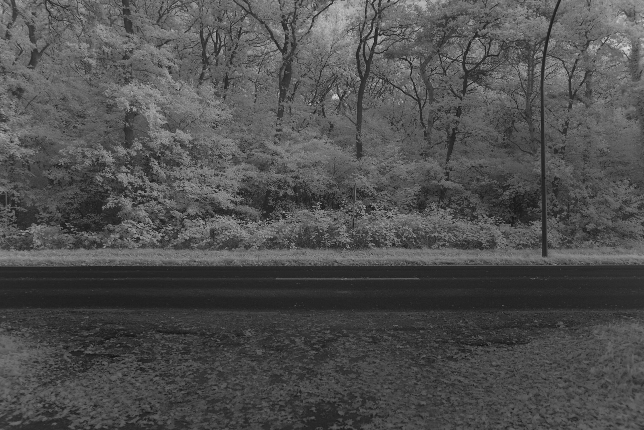 Blende 2.4 Zeit 1:350 ISO 125.