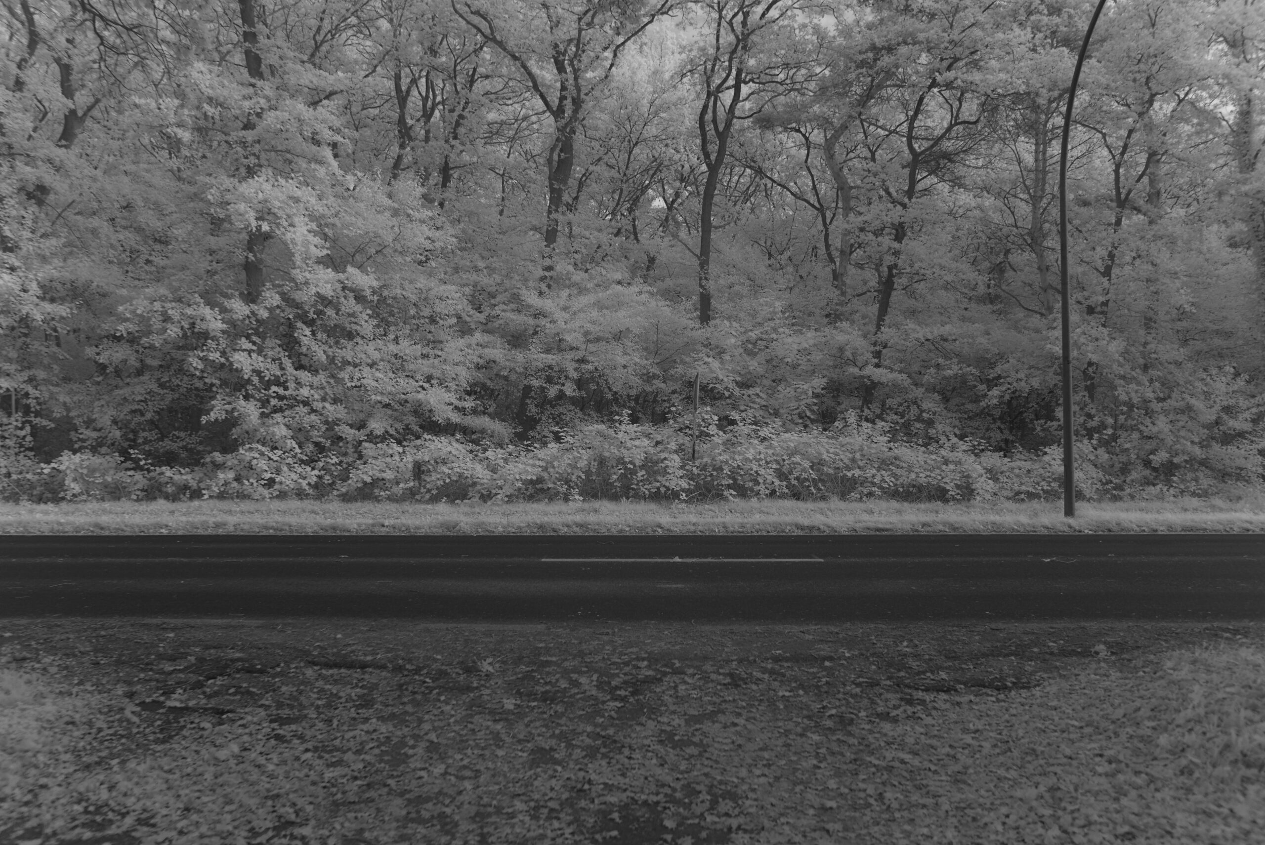 Blende 2.8 Zeit 1:250 ISO 125.