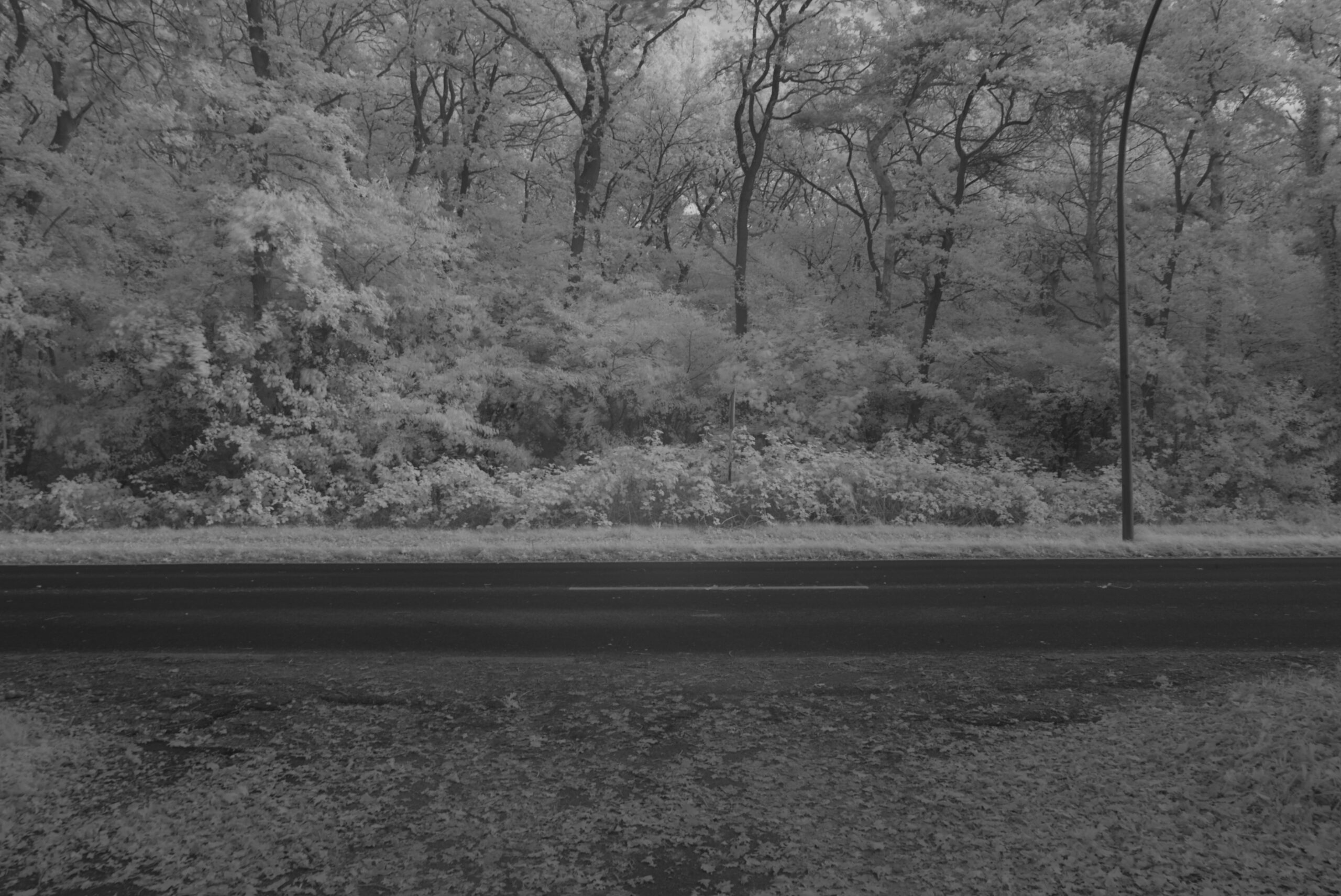 Blende 22.0 Zeit 0.3 ISO 125.