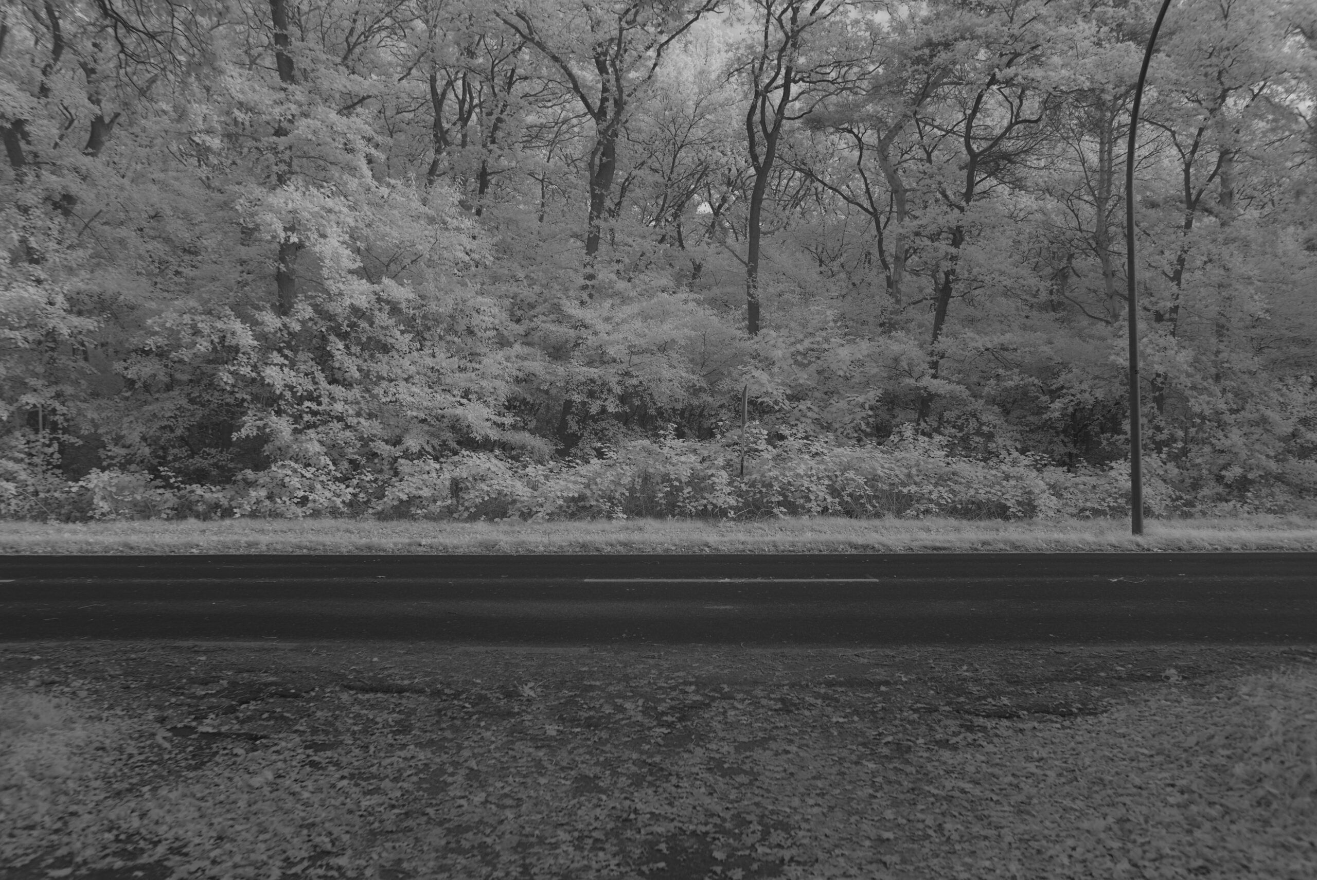 Blende 3.5 Zeit 1:200 ISO 125.