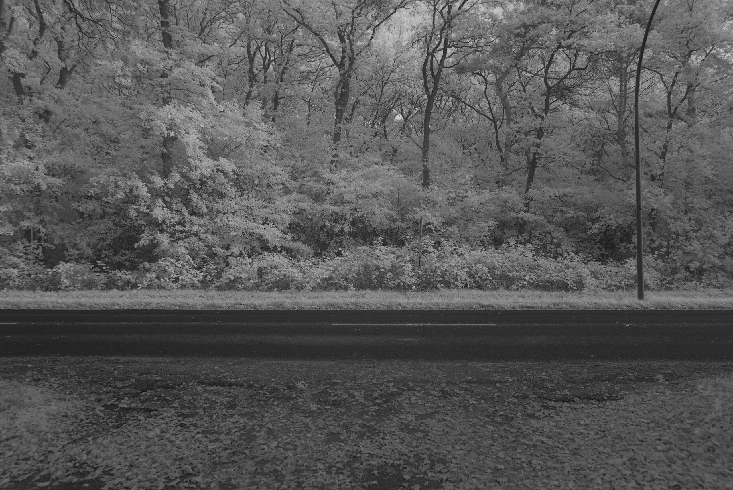 Blende 4.0 Zeit 1:125 ISO 125.