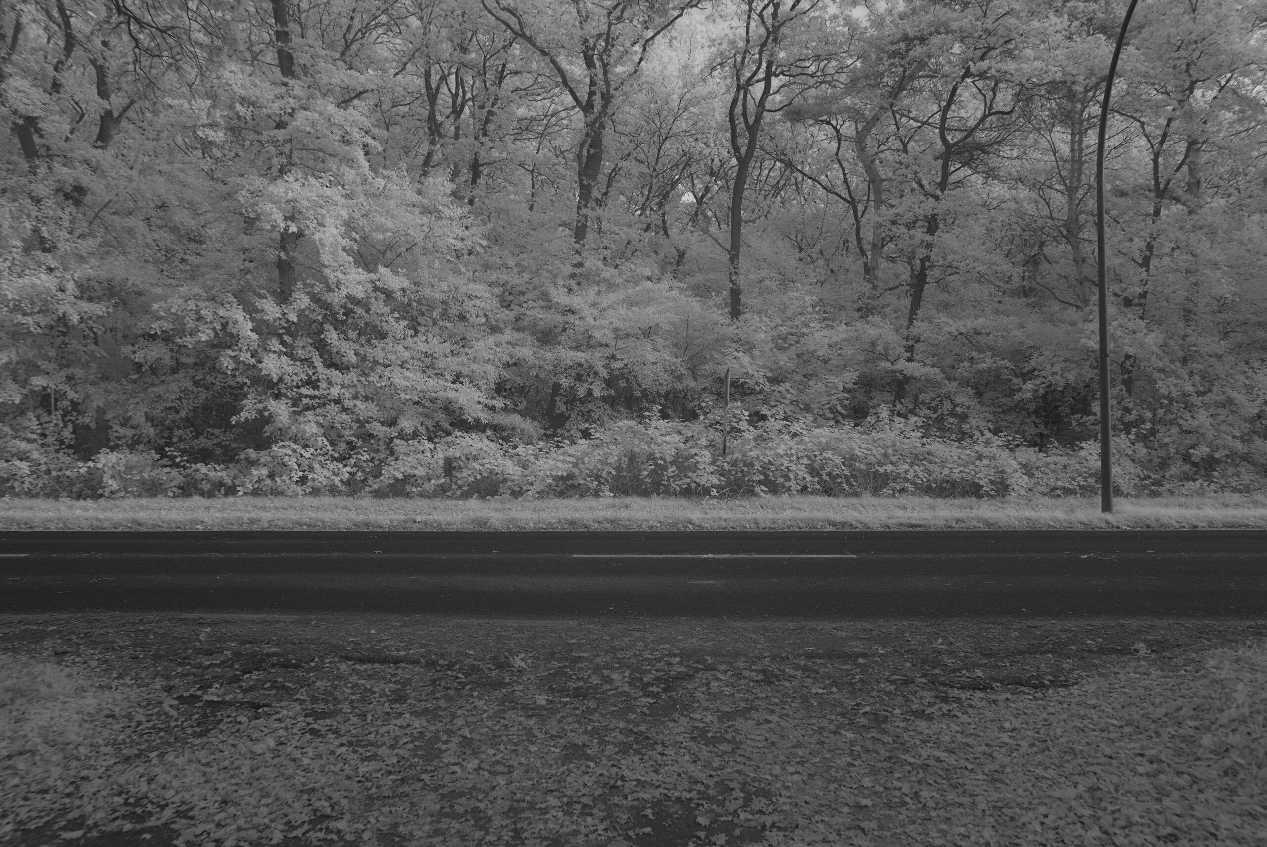 Blende 4.5 Zeit 1:60 ISO 125a.