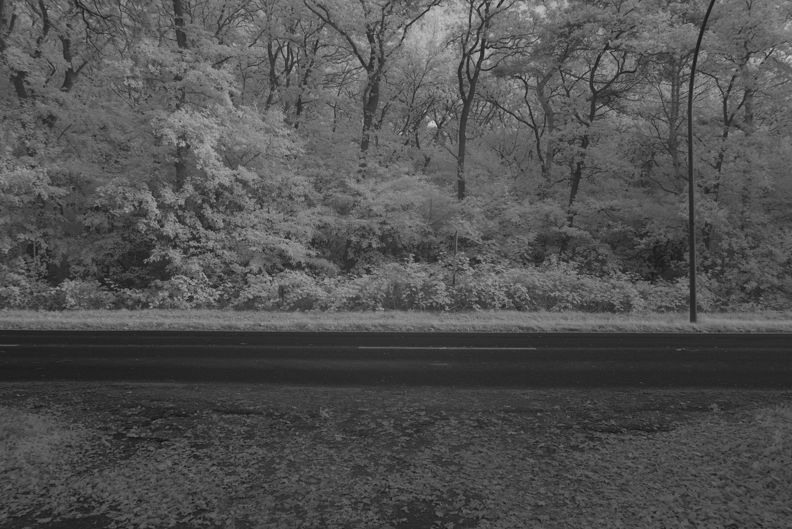 Blende 5.6 Zeit 1:45 ISO 125.