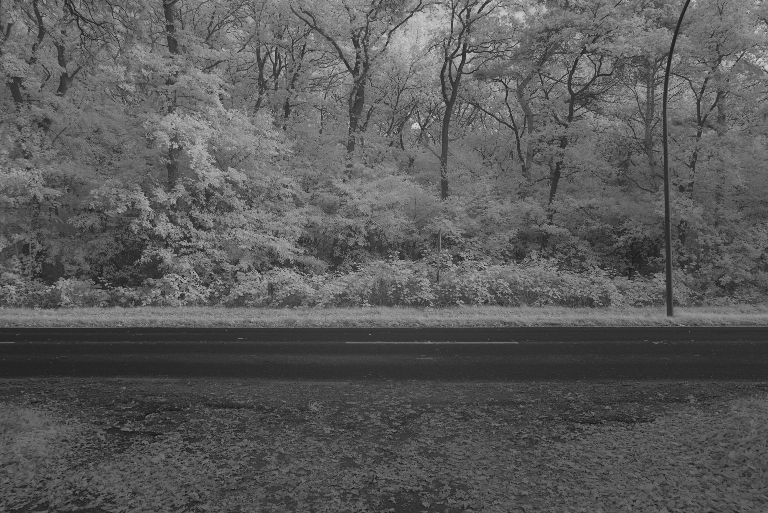 Blende 6.7 Zeit 1:30 ISO 125.