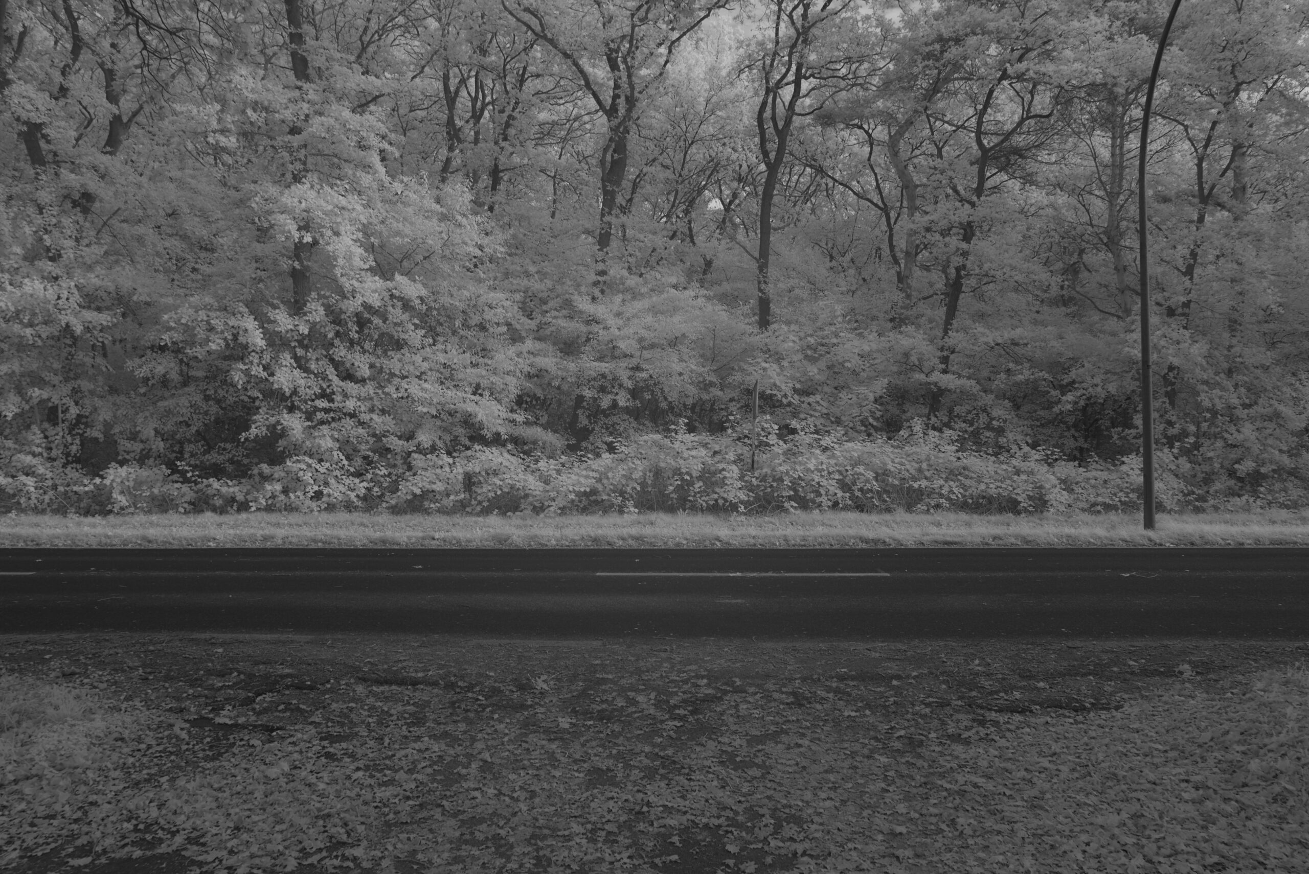 Blende 8.0 Zeit 1:20 ISO 125.