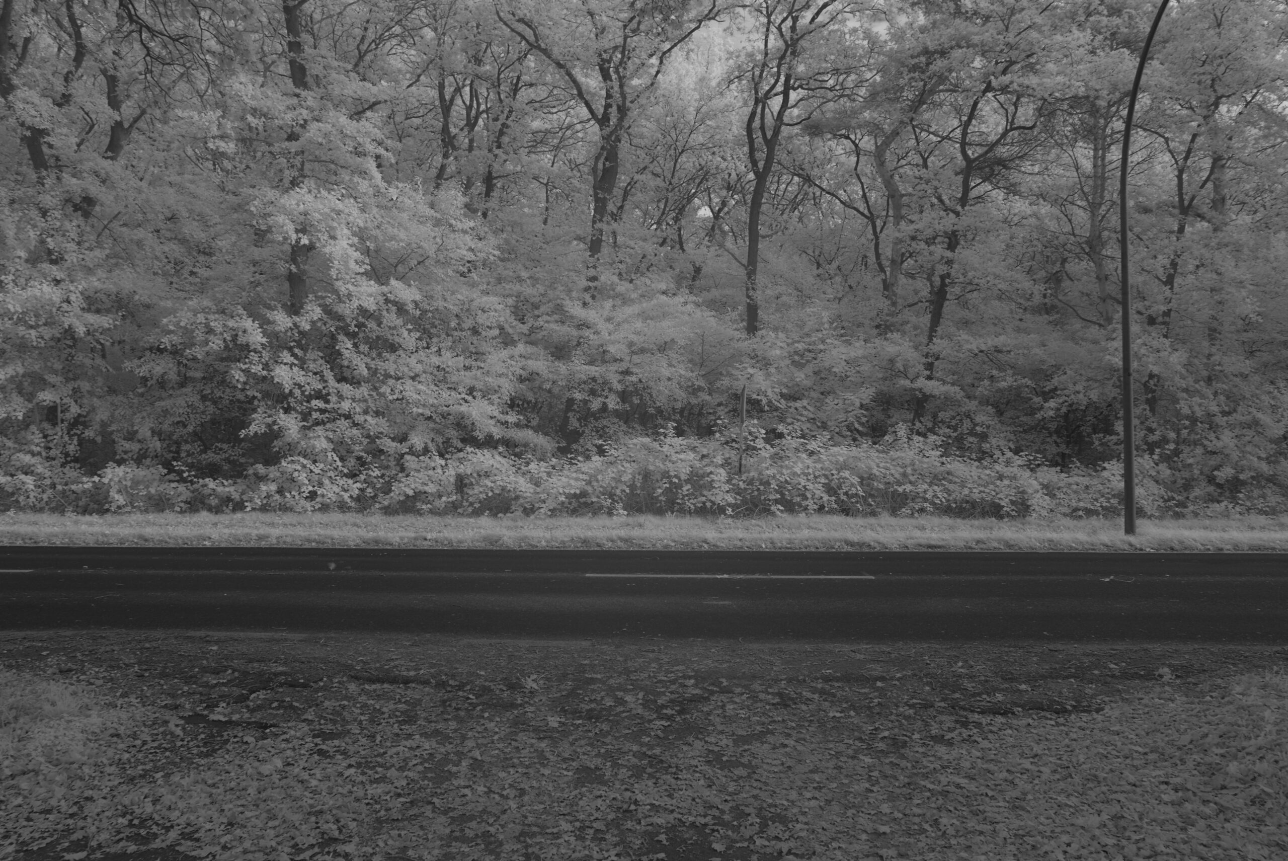 Blende 9.5 Zeit 1:15 ISO 125.