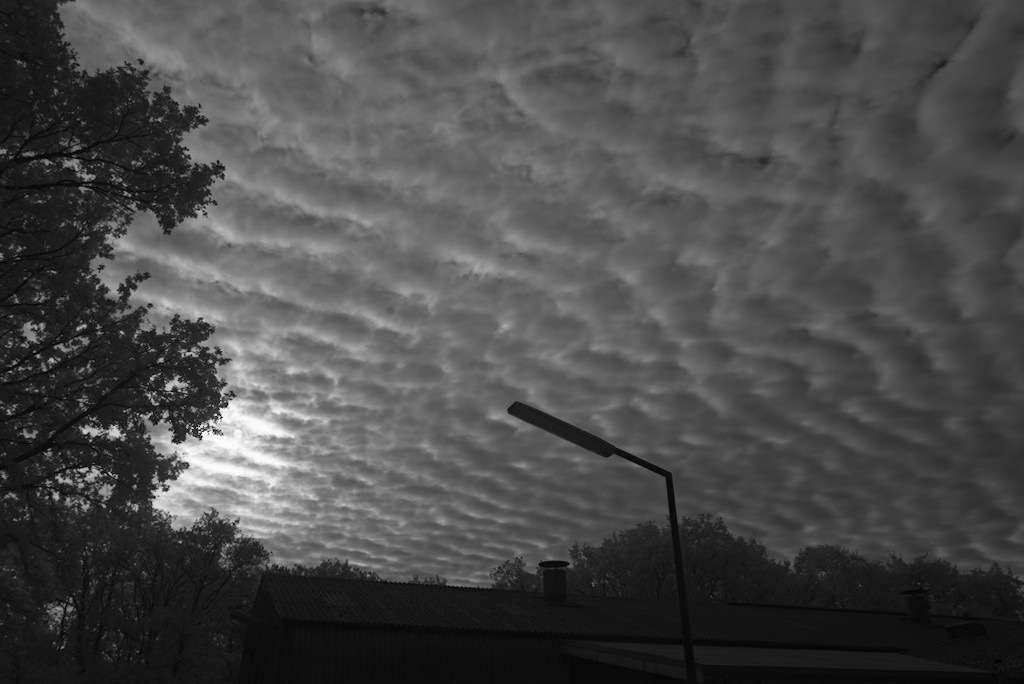 Blende 9.5 Zeit 1:200 ISO 125.